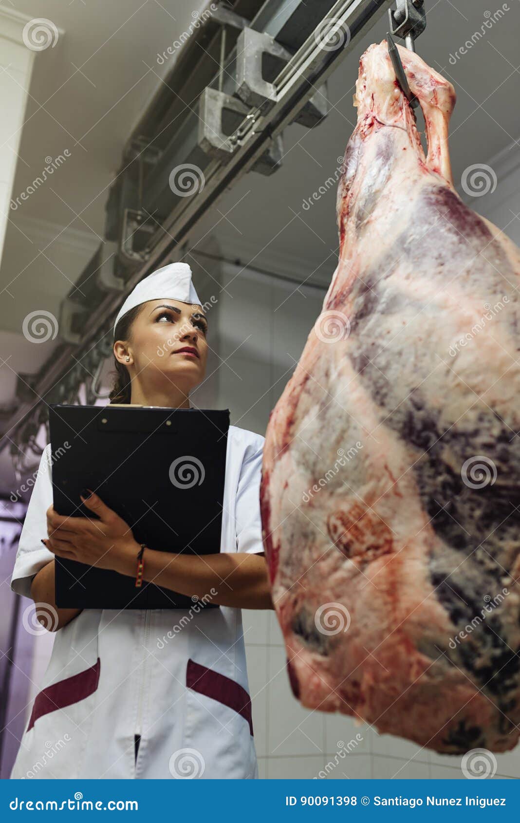 Meat Quality Control in Butchery. Stock Photo Image of butchery