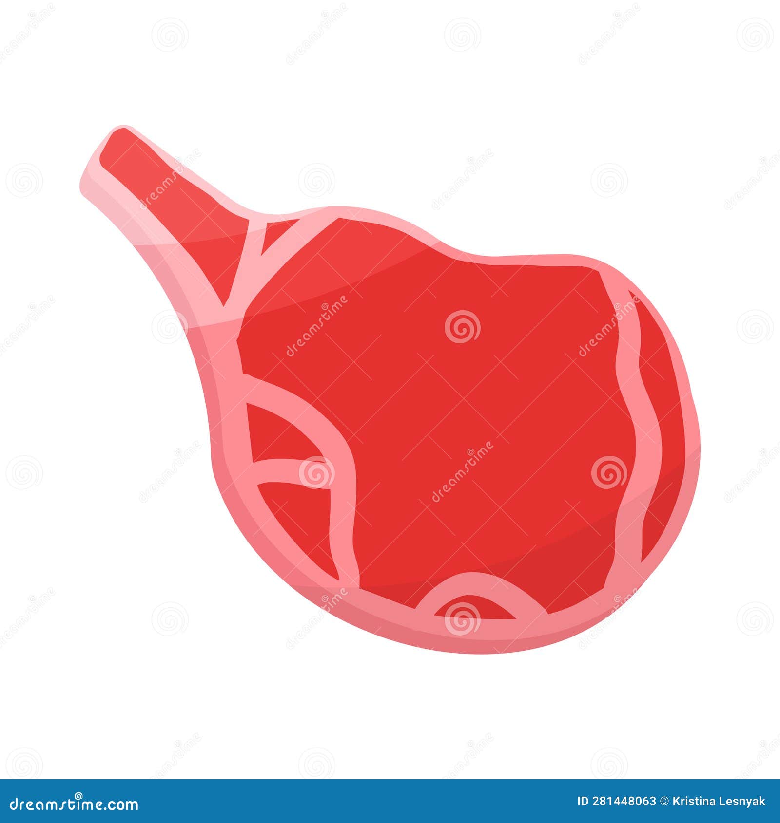 Meat Raw Fresh Red Steak Bone Element Stock Vector Illustration of