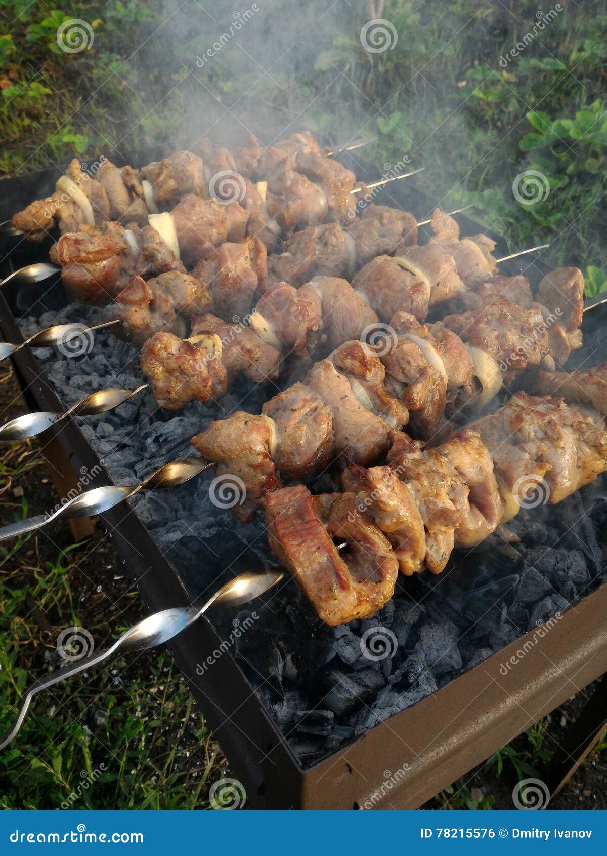 Meat Roasting on an Open Fire Stock Photo Image of grill, strung