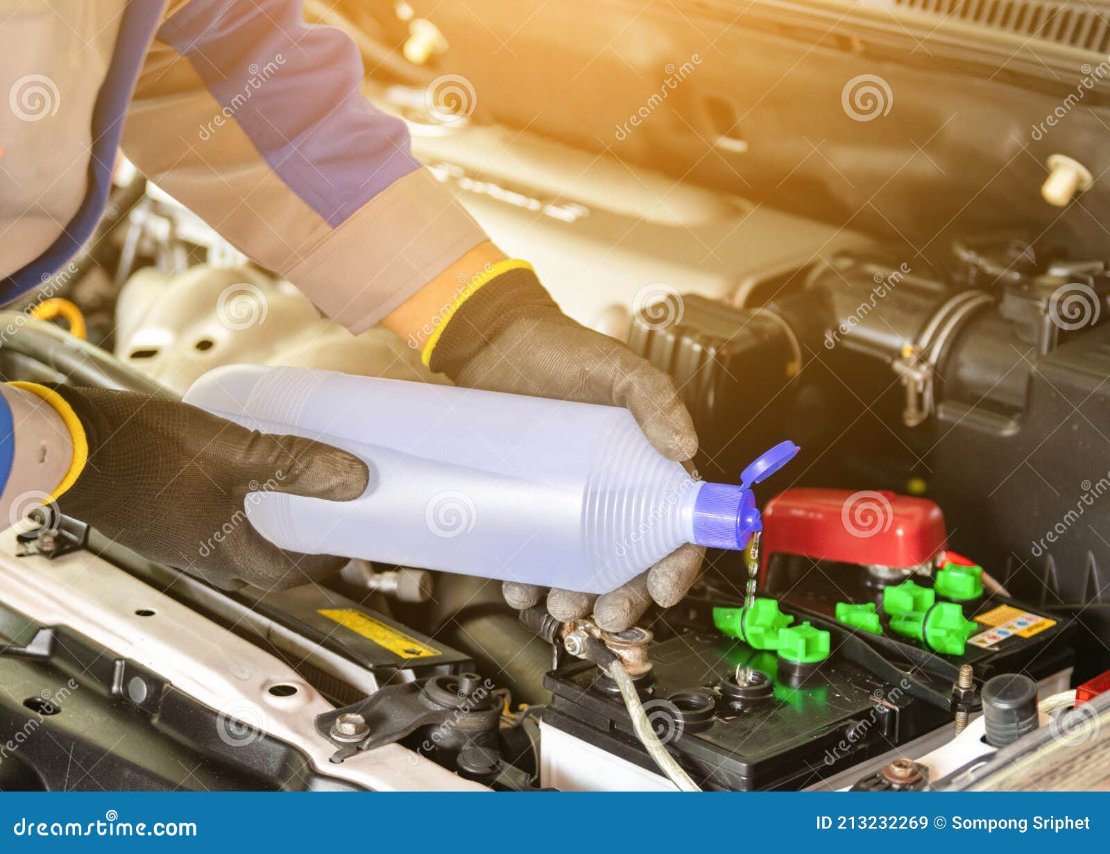 The Mechanic Adds Distilled Water Check the Car Battery Stock Image