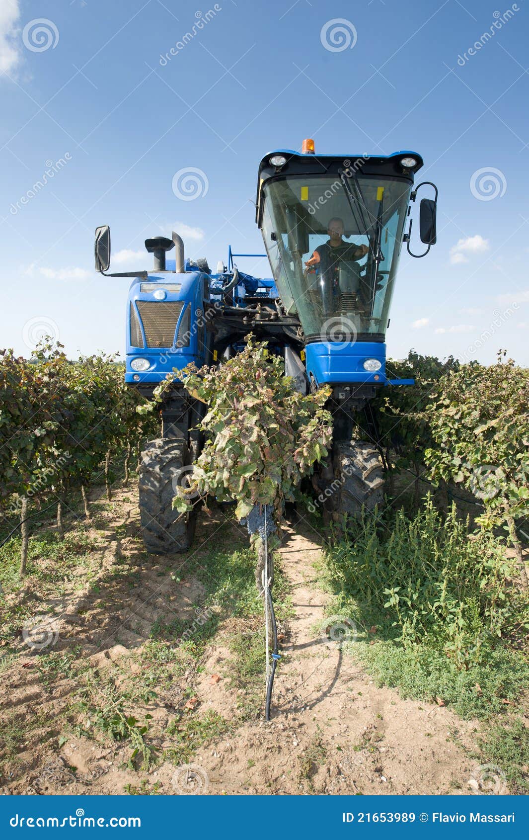 Mechanical harvest stock image. Image of nature, harvest 21653989