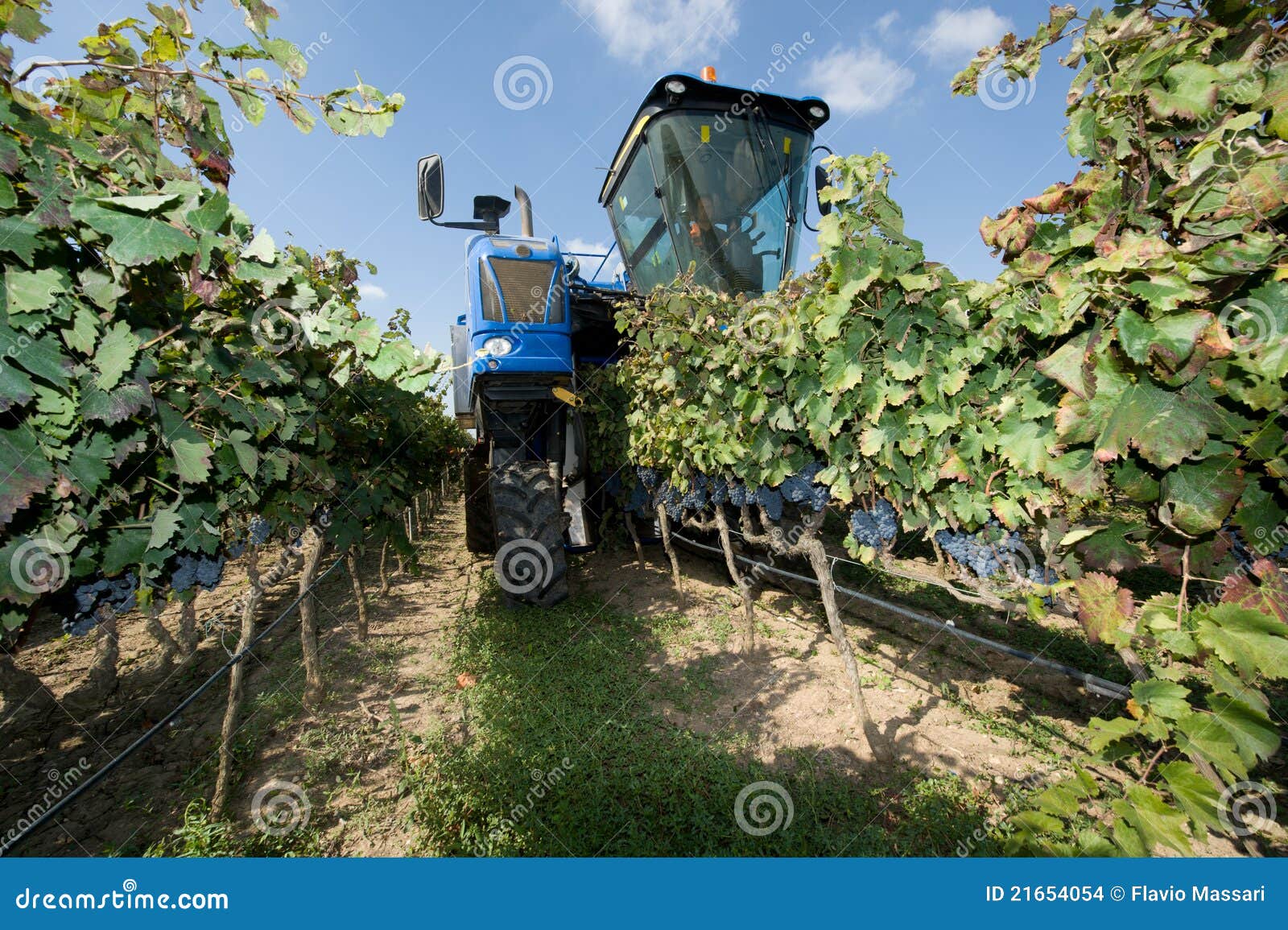 Mechanical harvest stock photo. Image of sunlight, mechanical 21654054