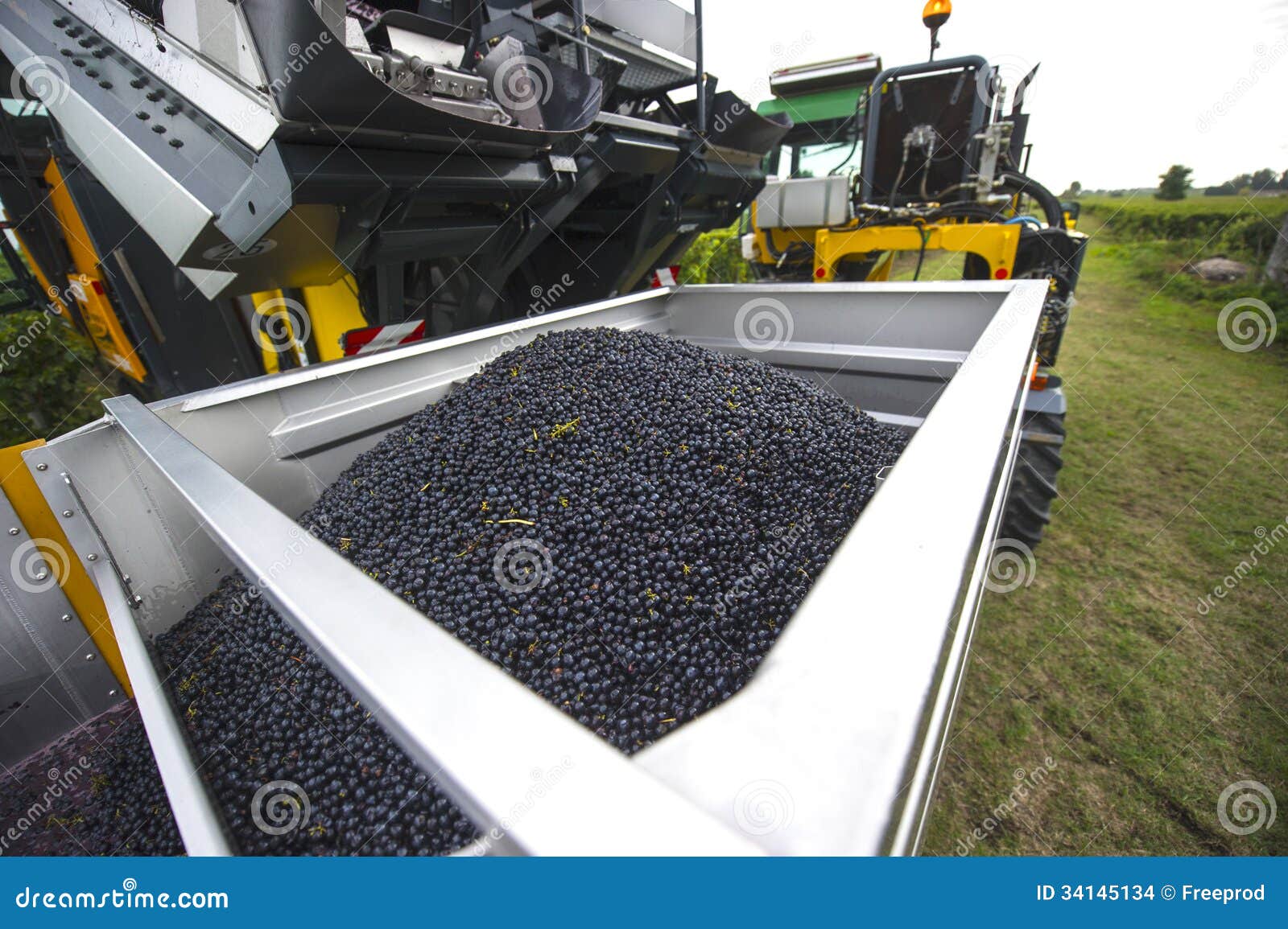Mechanical harvesting stock photo. Image of vine, agriculture 34145134