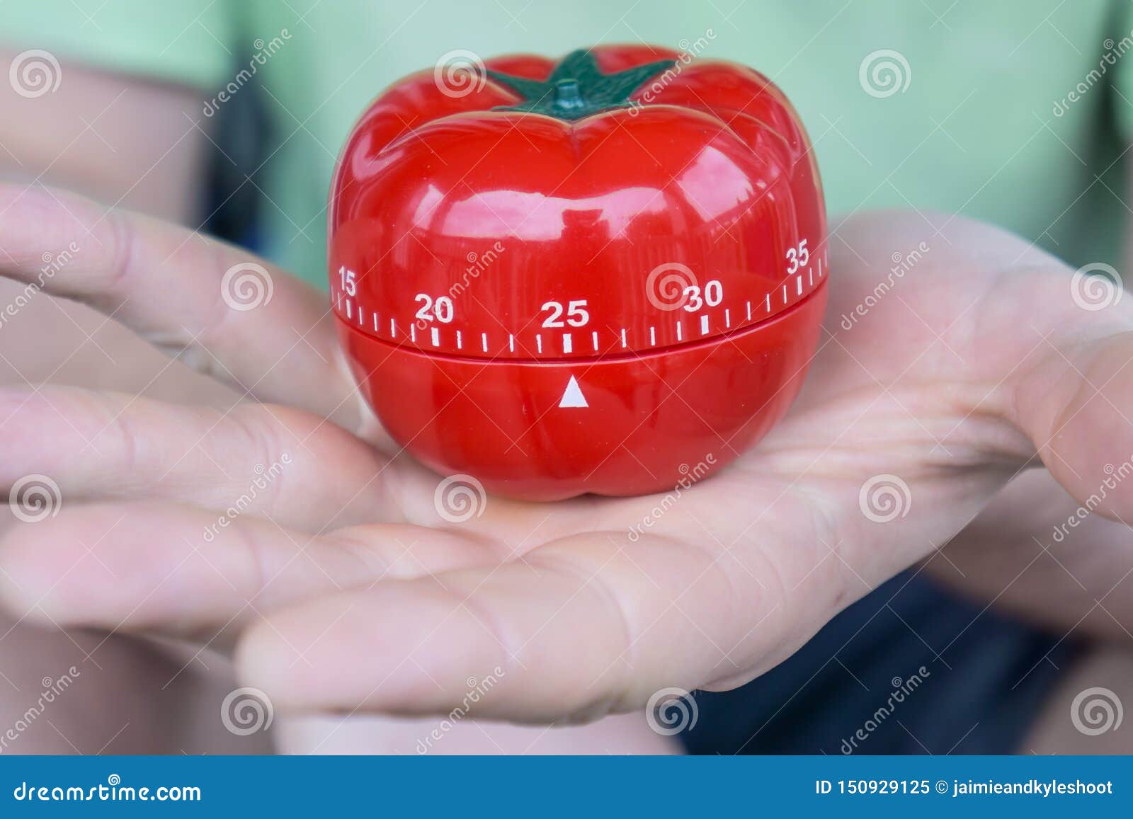 metal tomato timer metal tomato timer