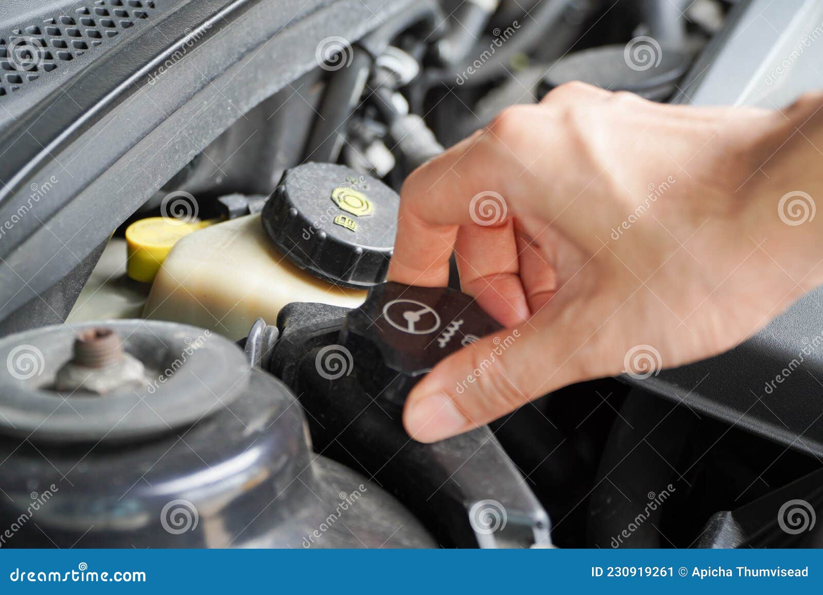 Mechaniker überprüft Den Expansionsbehälter Mit Rosa Frostschutzmittel.  Kühlmittelspiegel Im Kfz-Kühlsystem. Autoteile Stockbild - Bild von  frostschutzmittel, abkühlen: 230919261