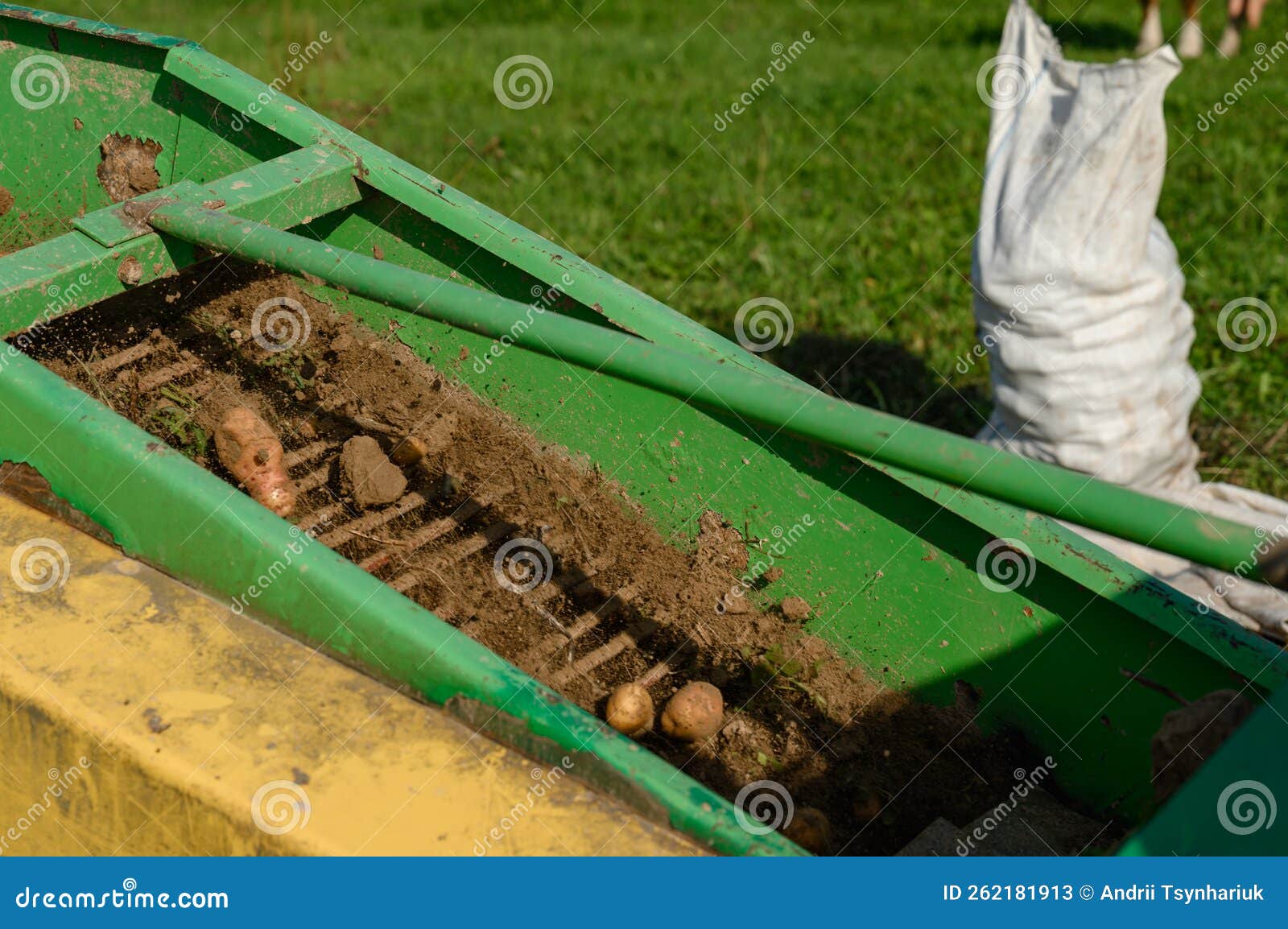 A Mechanized Method of Harvesting Potatoes in the Village. Stock Image