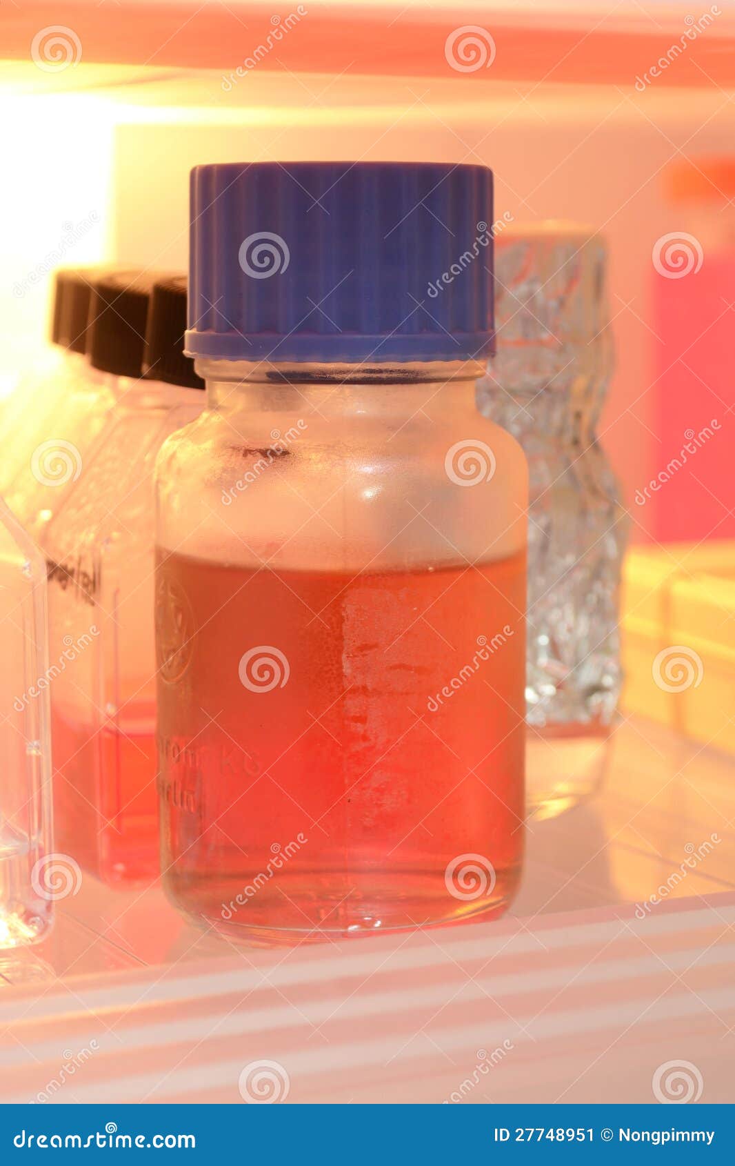 Media Cell Culture stock image. Image of feed, examination 27748951