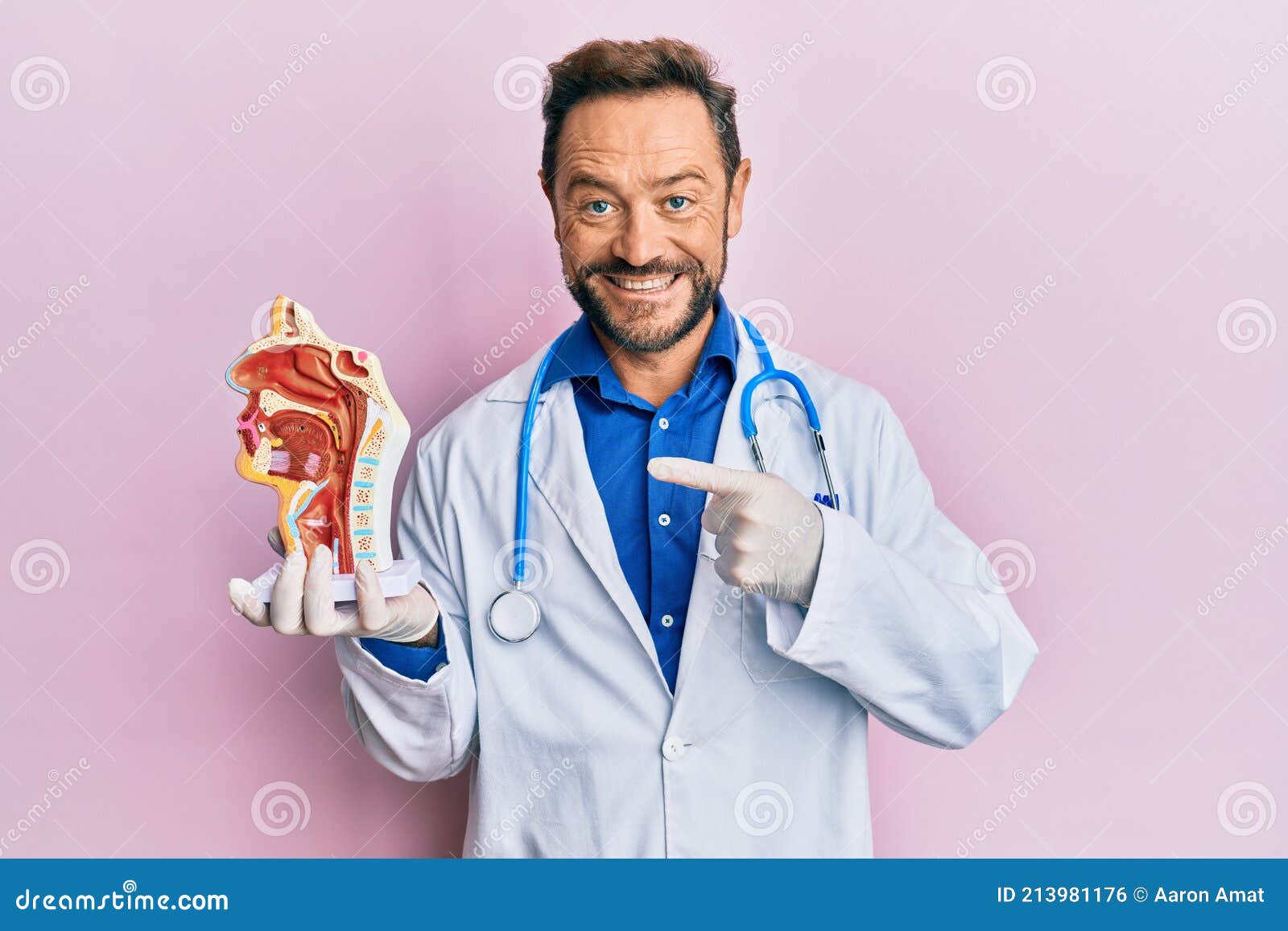 Mediana Edad Doctor Hombre Sosteniendo Modelo Anatómico Del Sistema  Respiratorio Sonriendo Feliz Señalando Con Mano Y Dedo Foto de archivo -  Imagen de persona, nariz: 213981176
