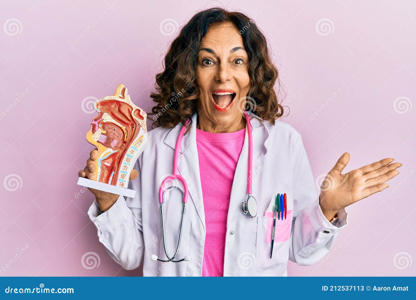 Mediana Edad Hispano Médico Mujer Sosteniendo Modelo Anatómico Del Sistema  Respiratorio Celebrando Logro Con Sonrisa Feliz Y Imagen de archivo -  Imagen de positivo, medio: 212537113