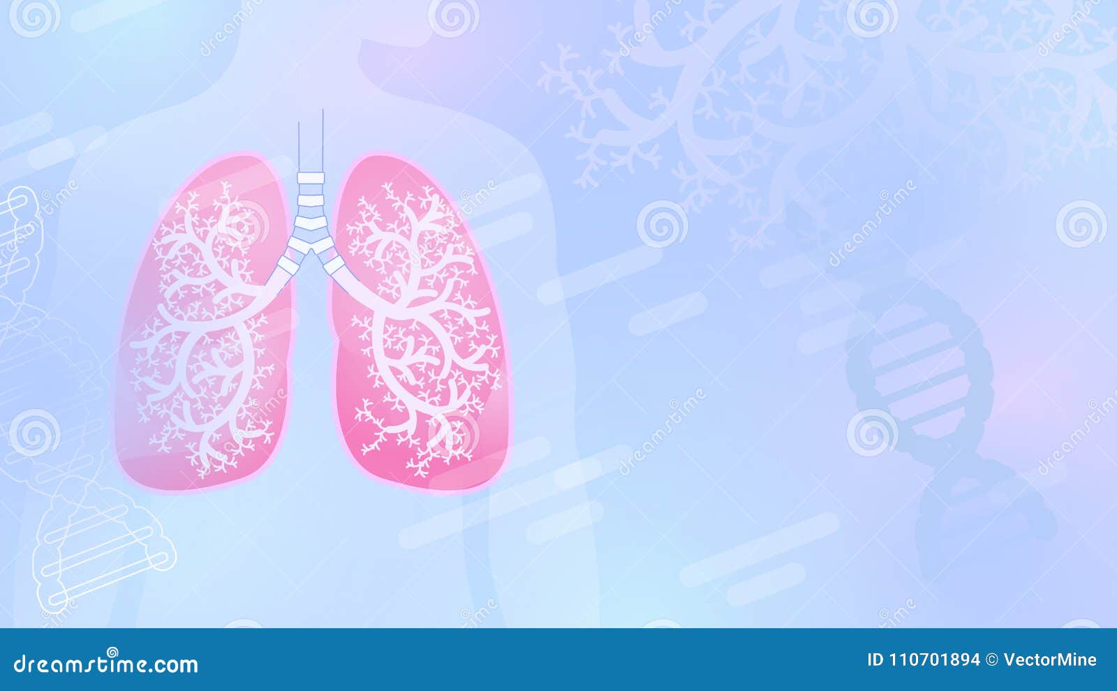 medical abstract  background with lungs and bronchial tree.