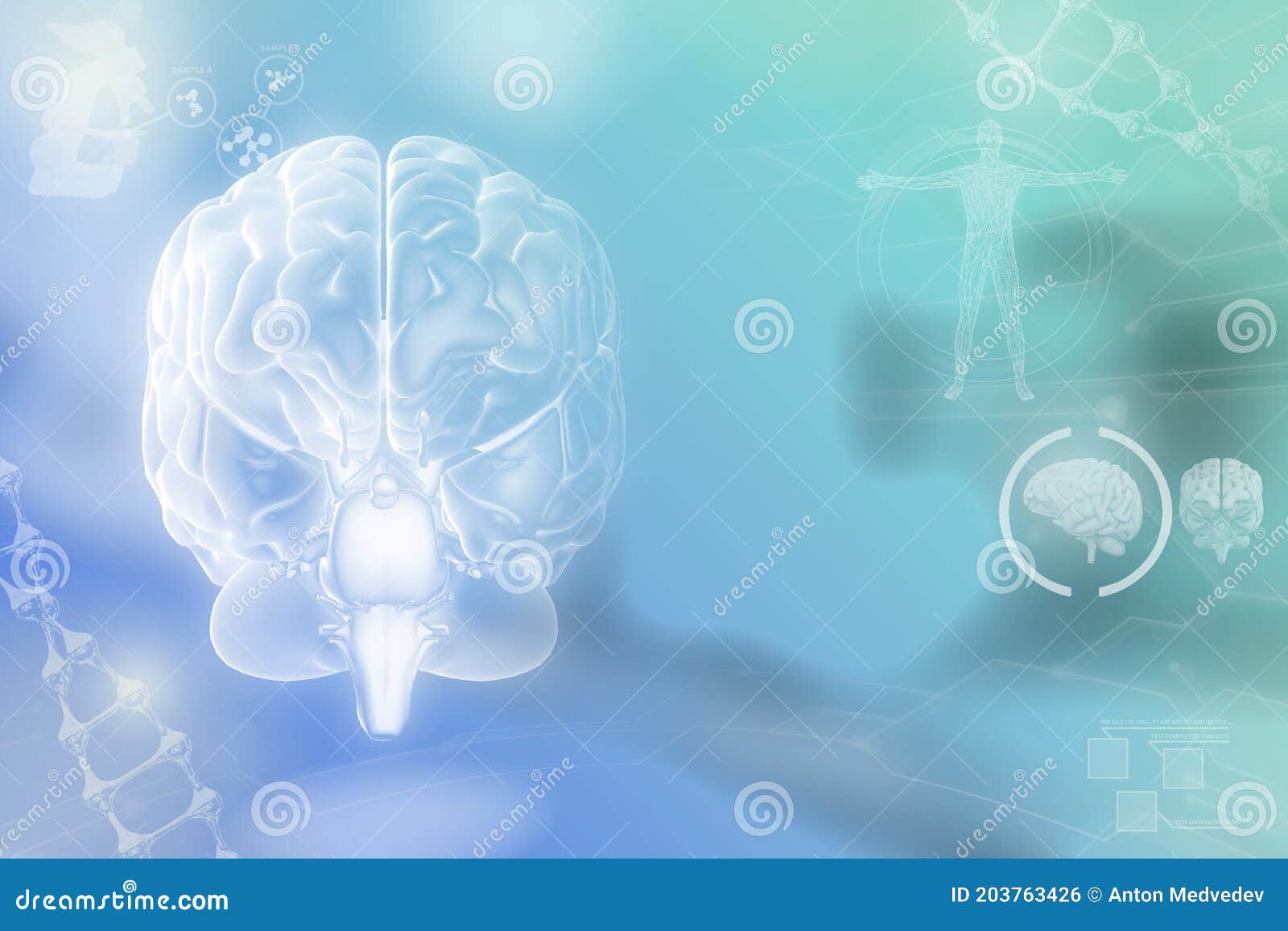 Medical 3D Illustration - Human Brain, Intelligence Discovery Concept ...