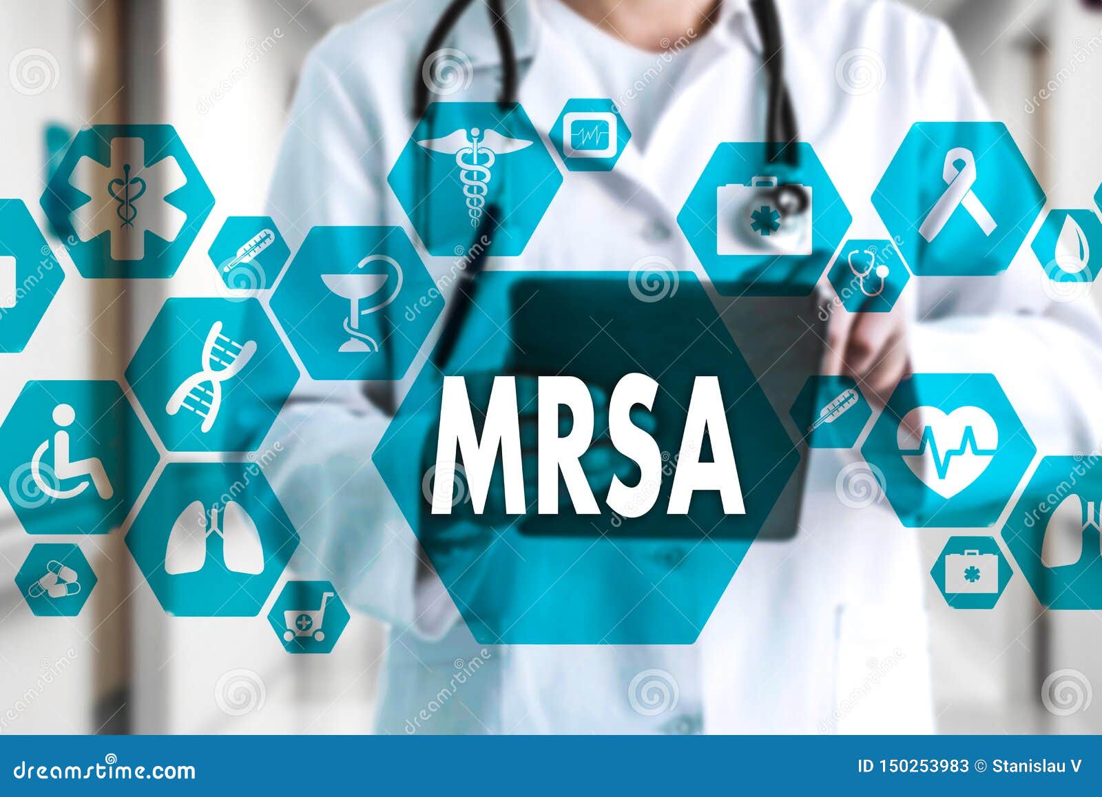 medical doctor with stethoscope and word mrsa ,methicillin-resistant staphylococcus aureus in medical network connection on the