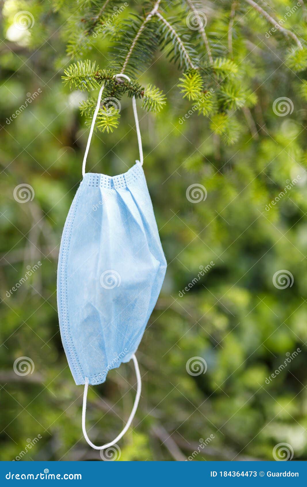 Medical Face Mask Hanging on a Tree Stock Image Image of medicine