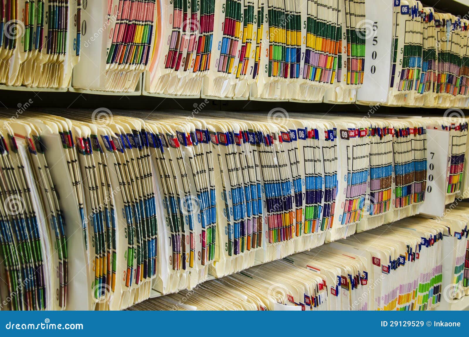 Medical Chart Shelves