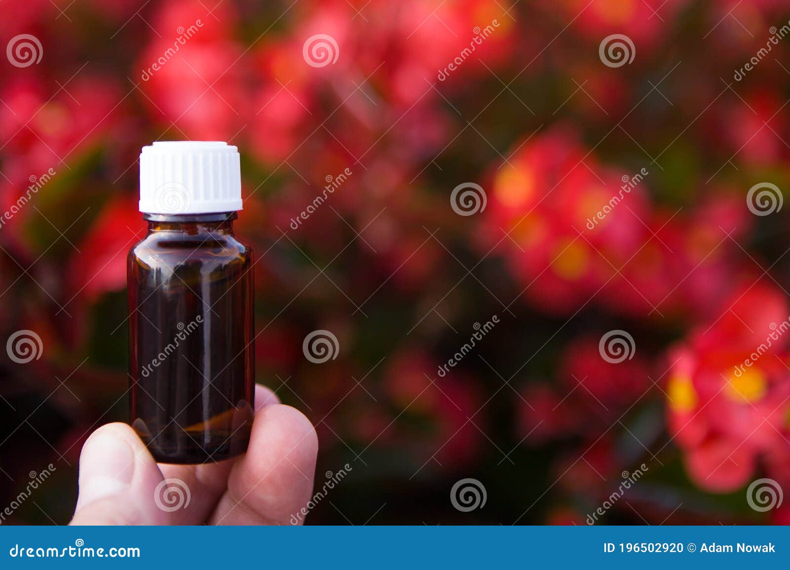 Download Medical Glass Essential Oil Bottle With Flowers Dropper Bottle Mockup Stock Photo Image Of Blossoms Flora 196502920
