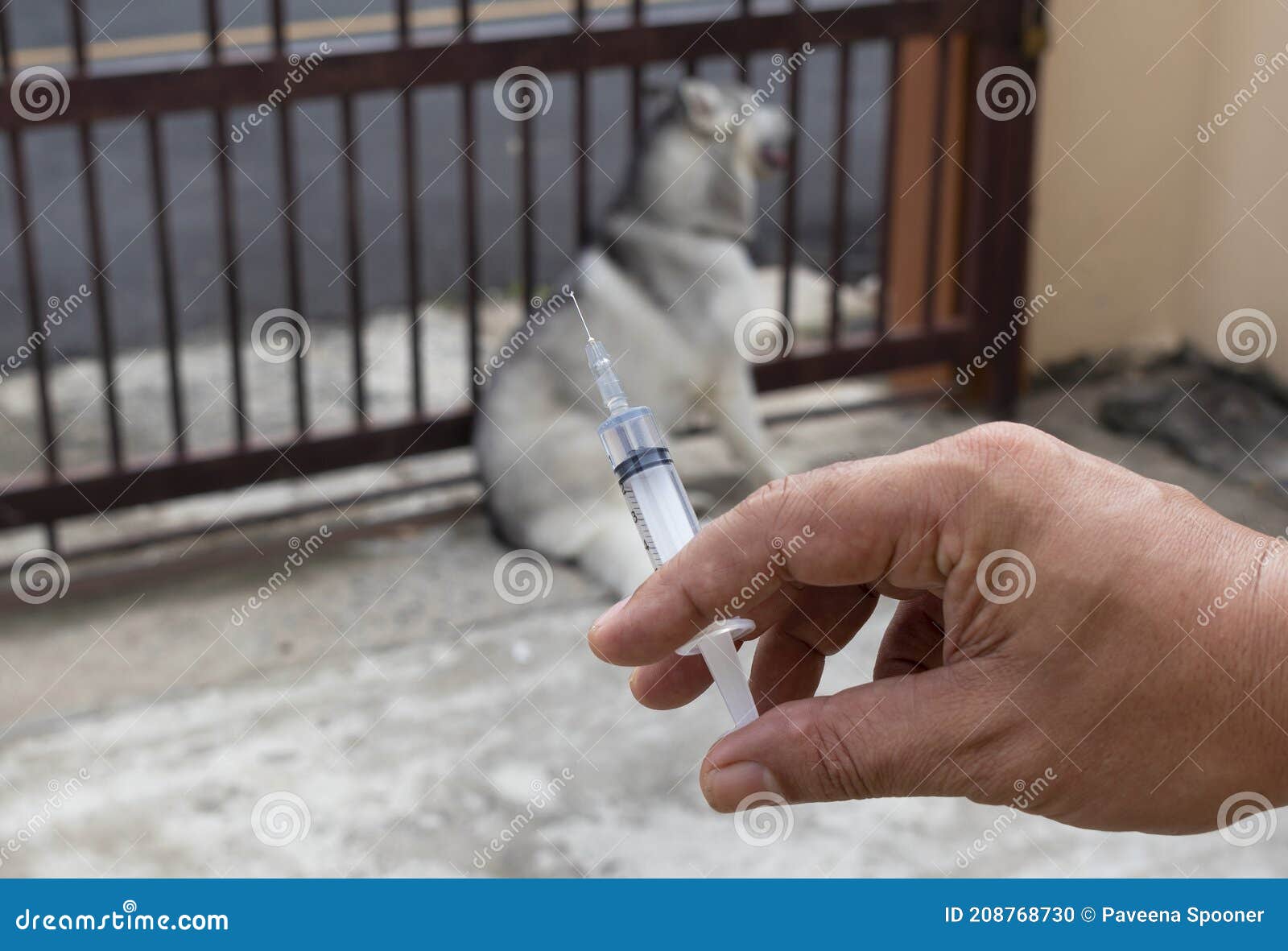 Medical Hand Holding Needle Syringe Stock Photo - Image of dangerous ...