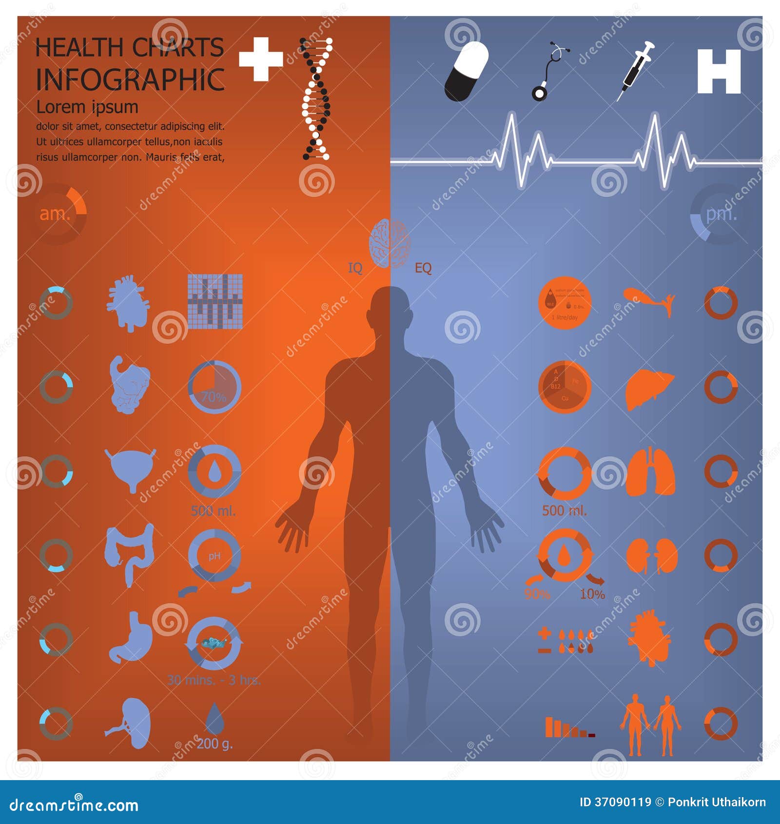 medical and health infographic infochart