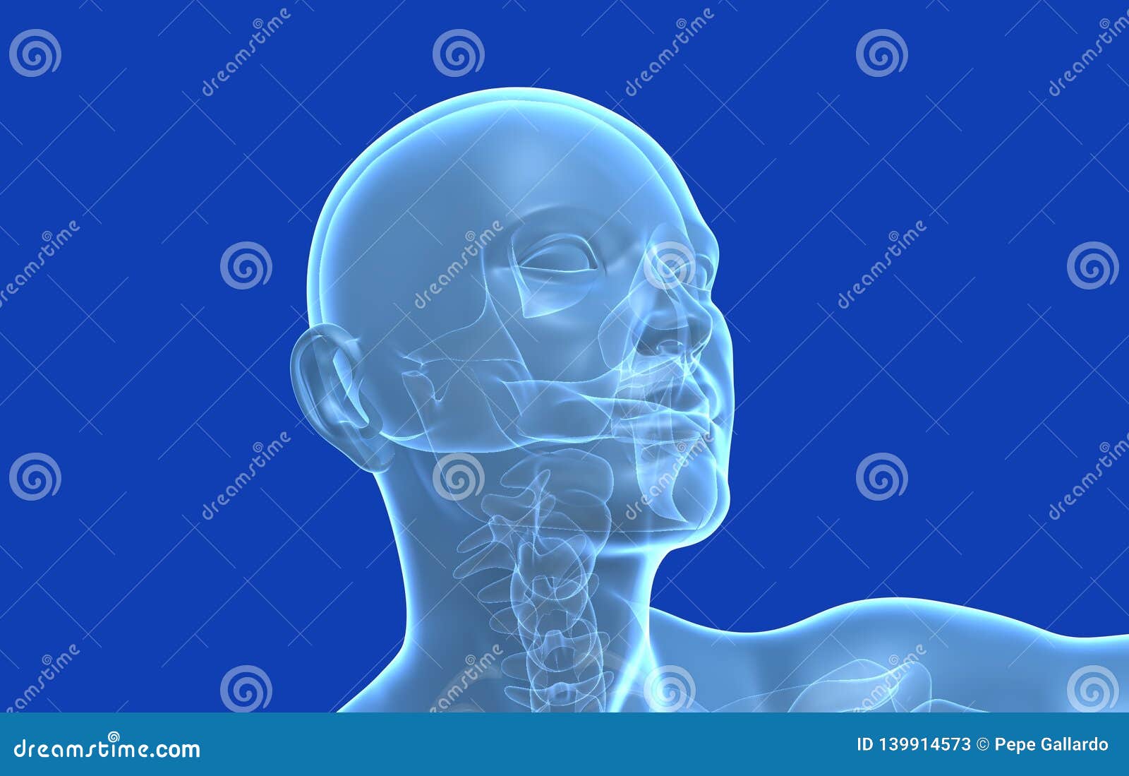 medical  3d human head, stylized, blue background