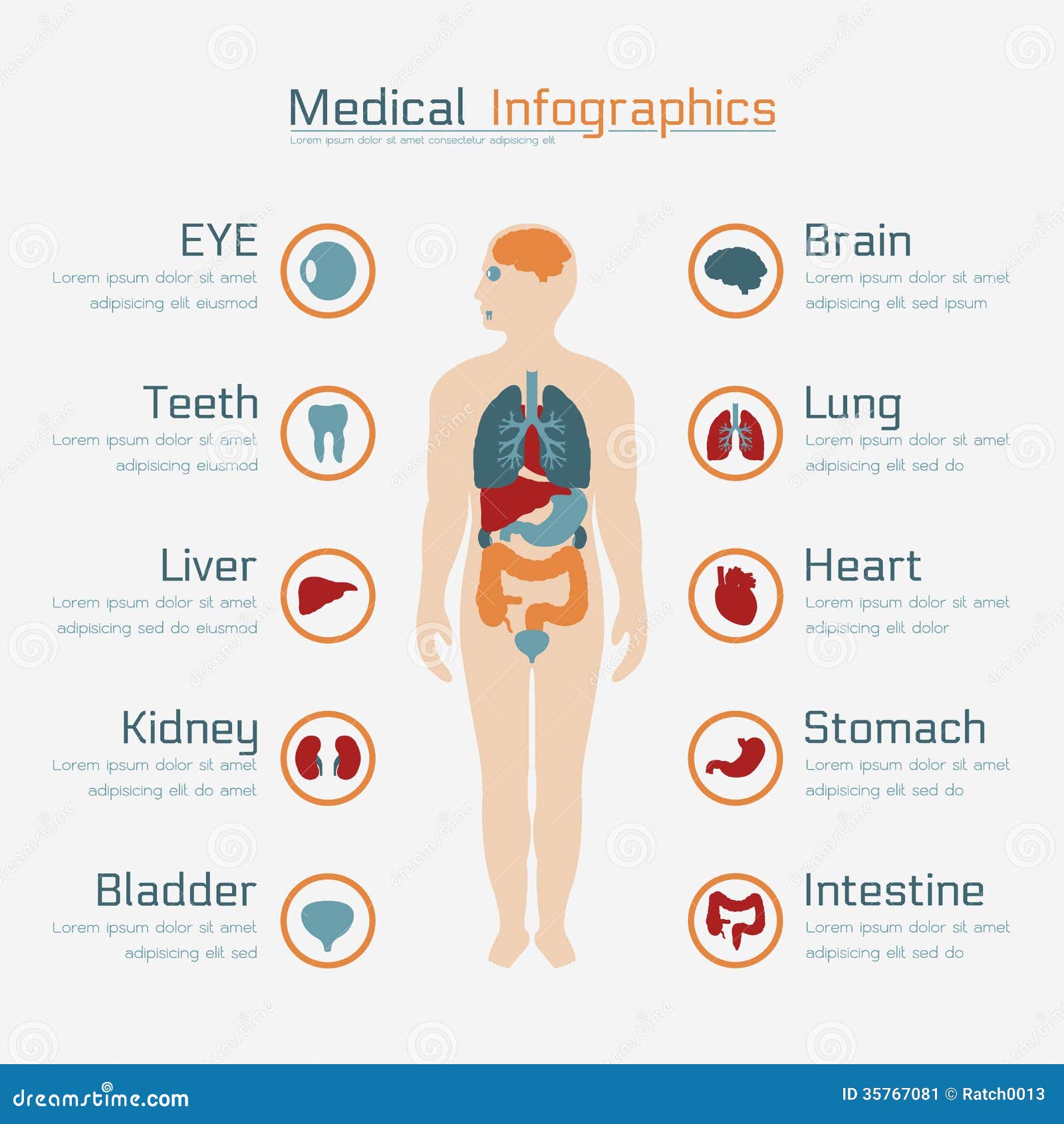 Medical Infographic Cross Section Of Female Breast With Abscess