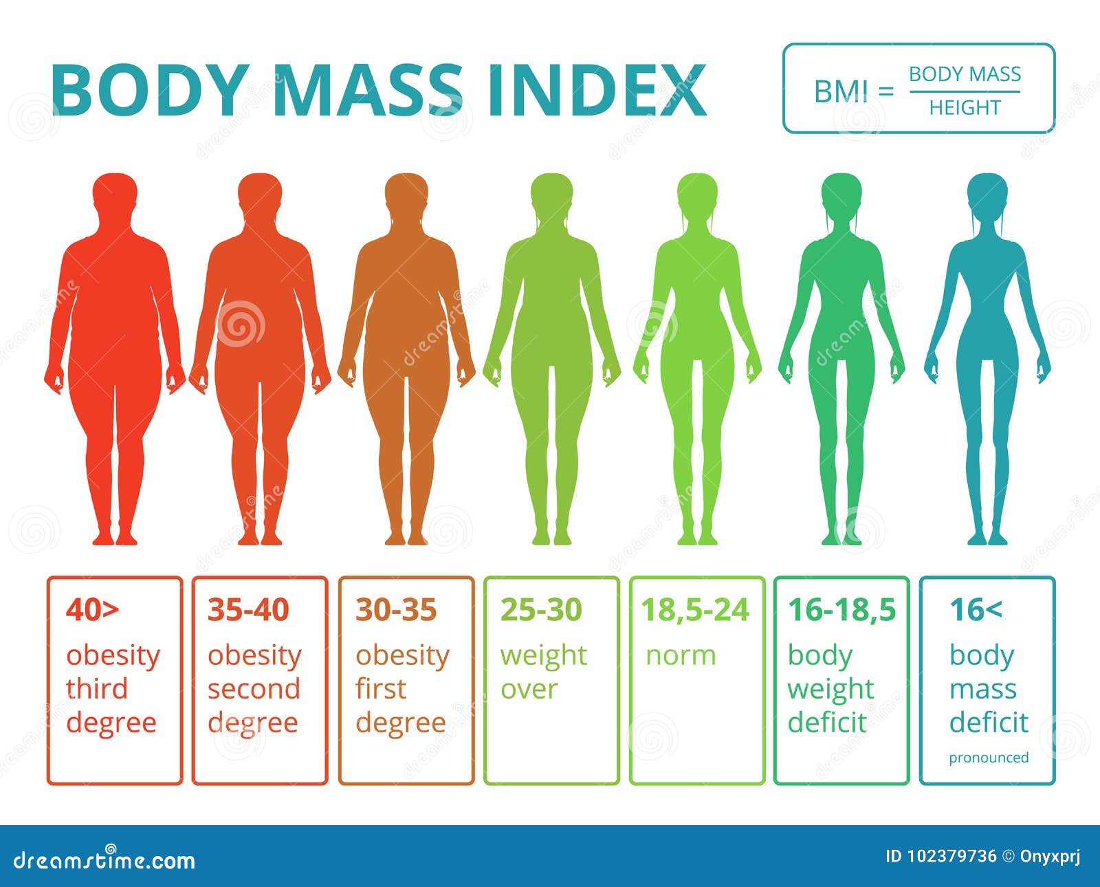 Medical Infographics With Illustrations Of Female Body Mass Index Stock Vector Illustration Of Person Flat