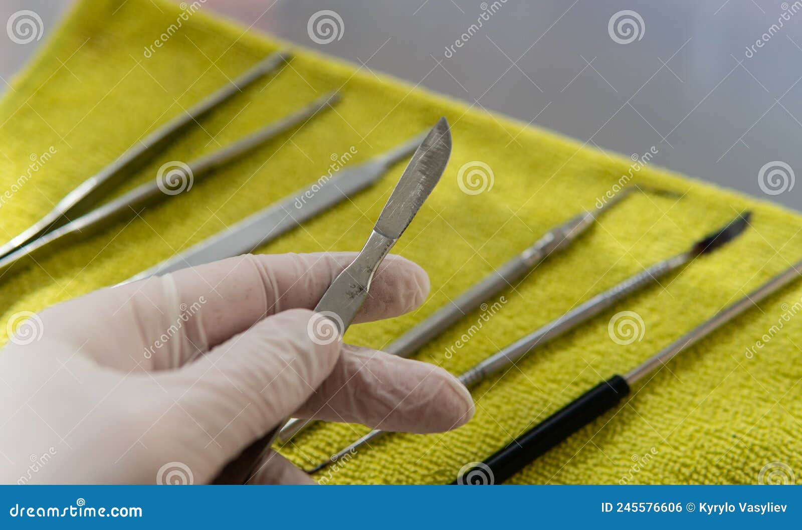Medical Instrument for Research. Dental Tool Stock Photo Image of
