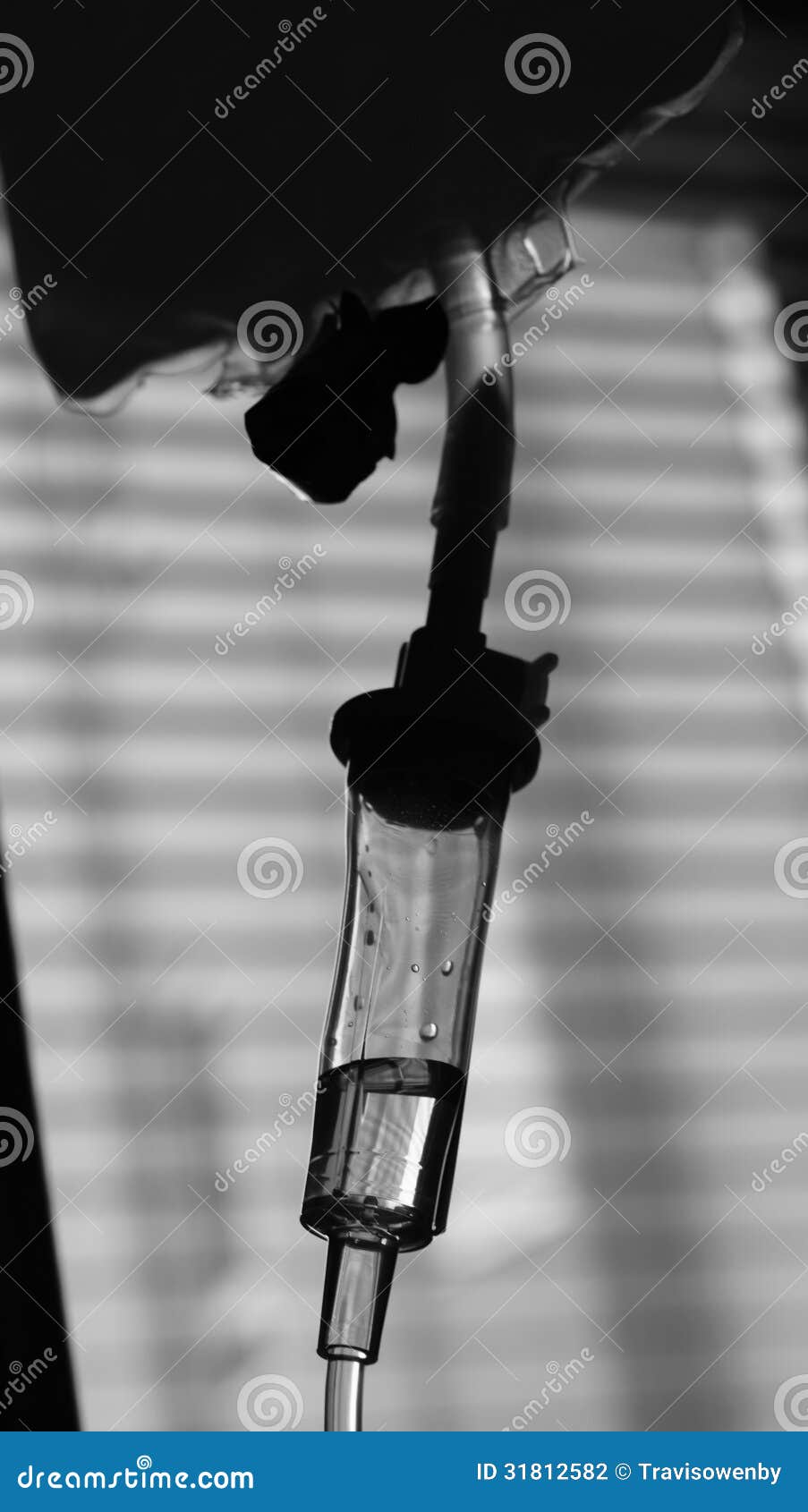 Medical IV Drip line stock photo. Image of services, care 31812582