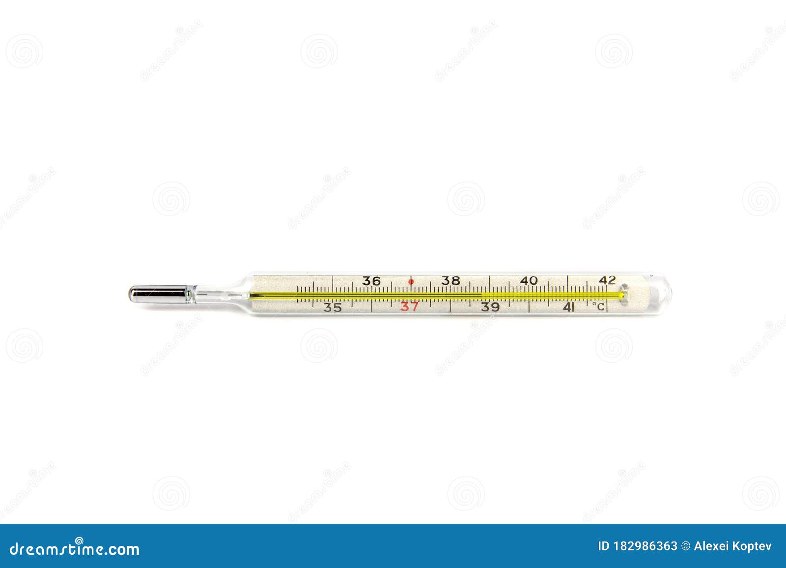Clinical analog thermometer Royalty Free Vector Image