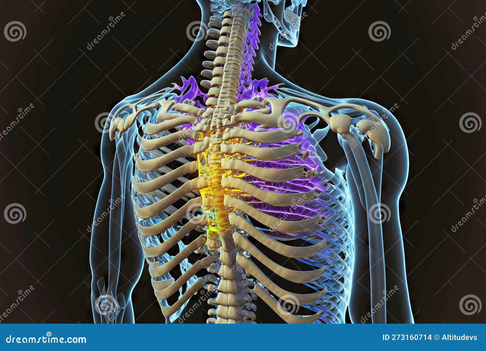 Medical Problems in Scapular Hard Spine Pain Stock Illustration