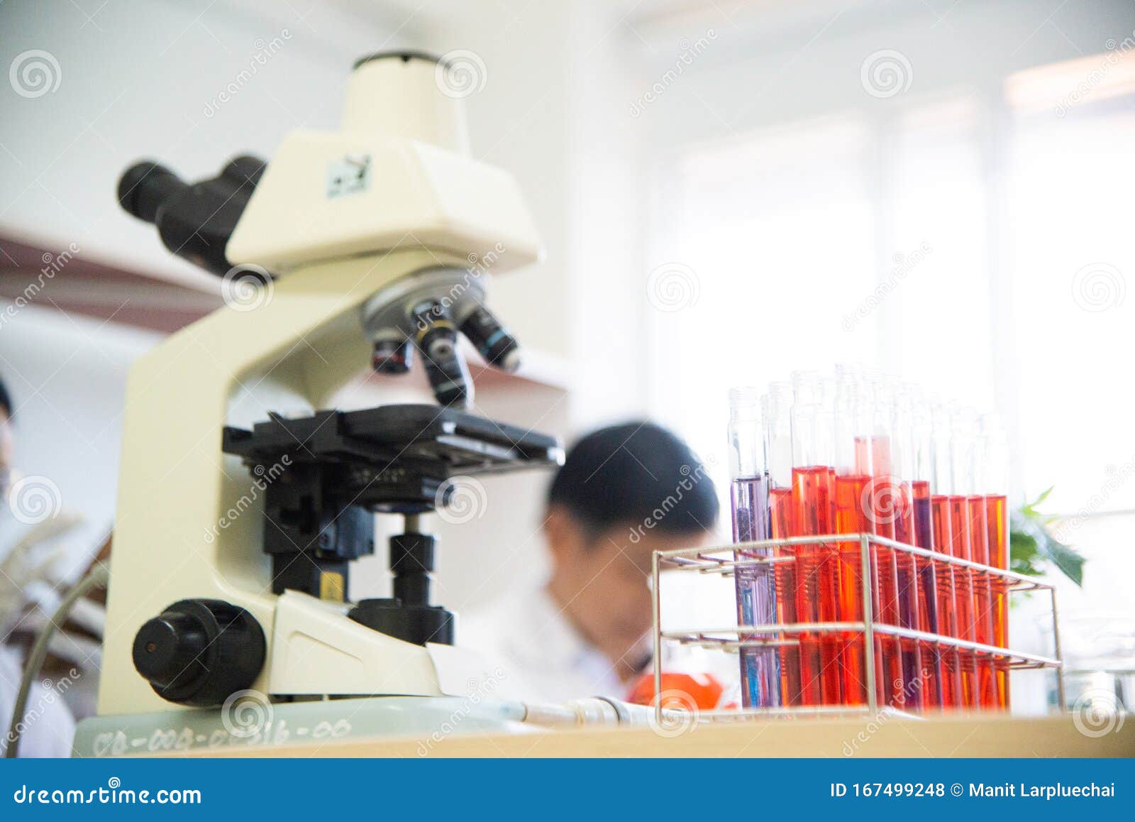 medical research lab or laboratory test testing samples or a solution with a pipette and ninty six well cell tray
