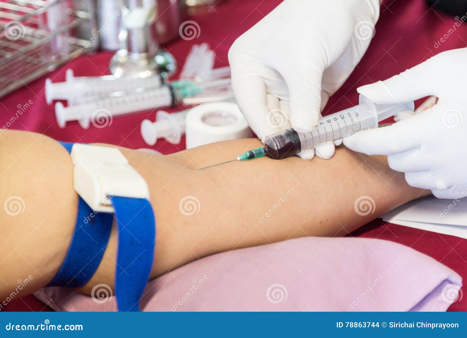Medical Technologist Drawing Blood Sample for Laboratory Test Stock