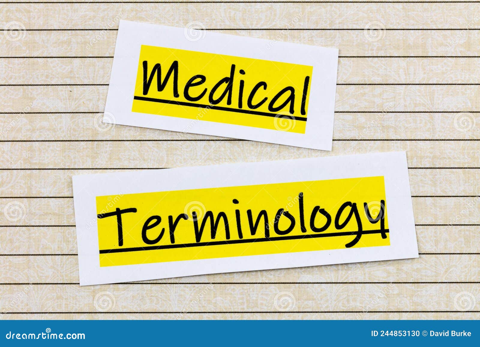 medical terminology knowledge language insurance coding health medicine