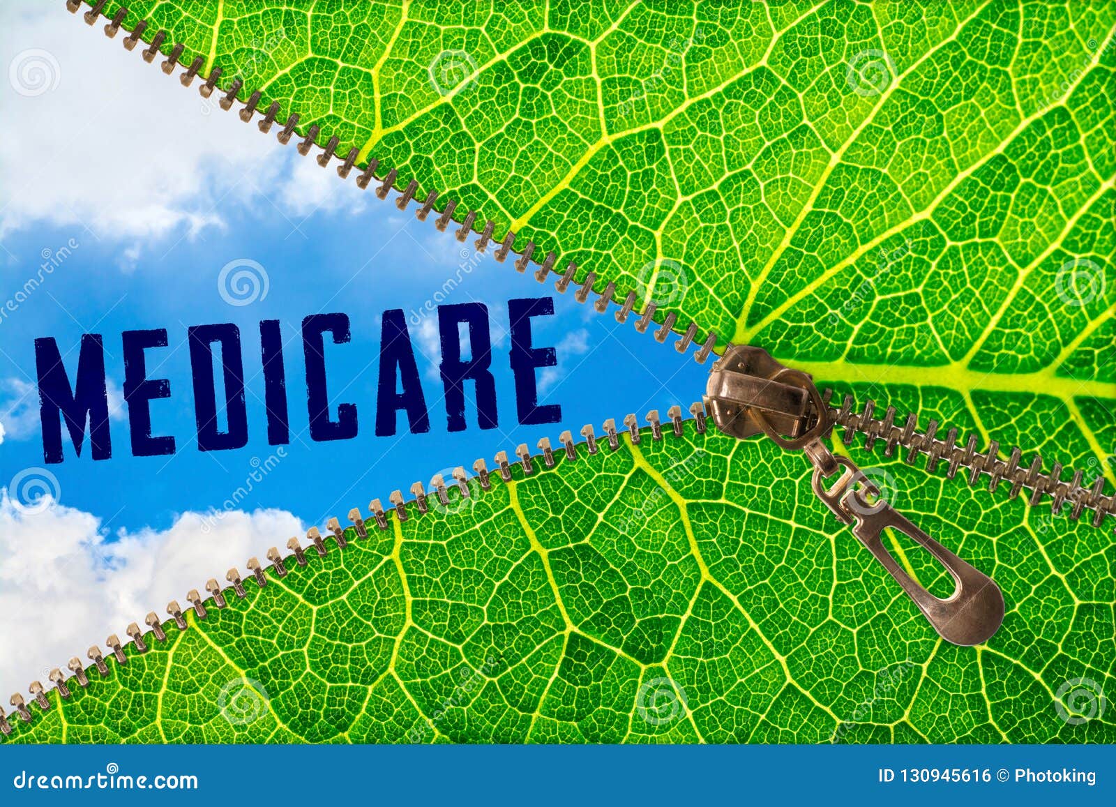 medicare word under zipper leaf