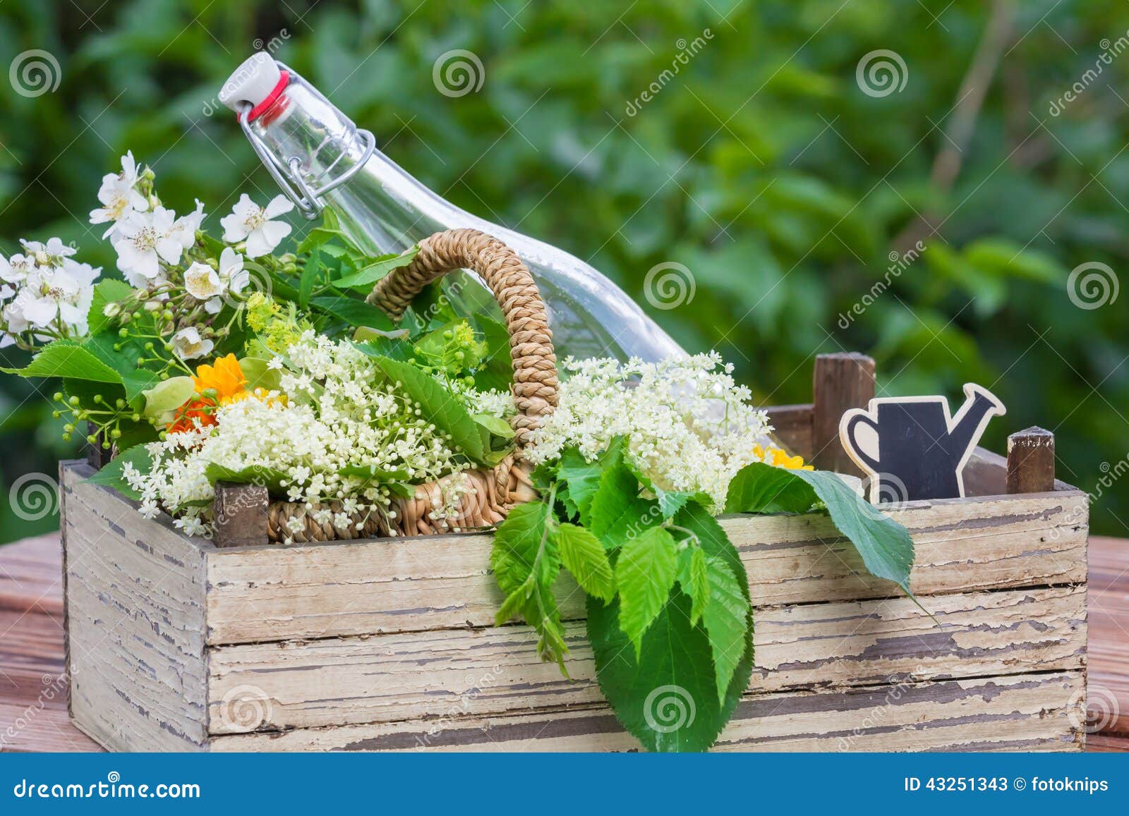 Medicinal Herbs, Herbal Brandy Stock Image Image of collected, herb