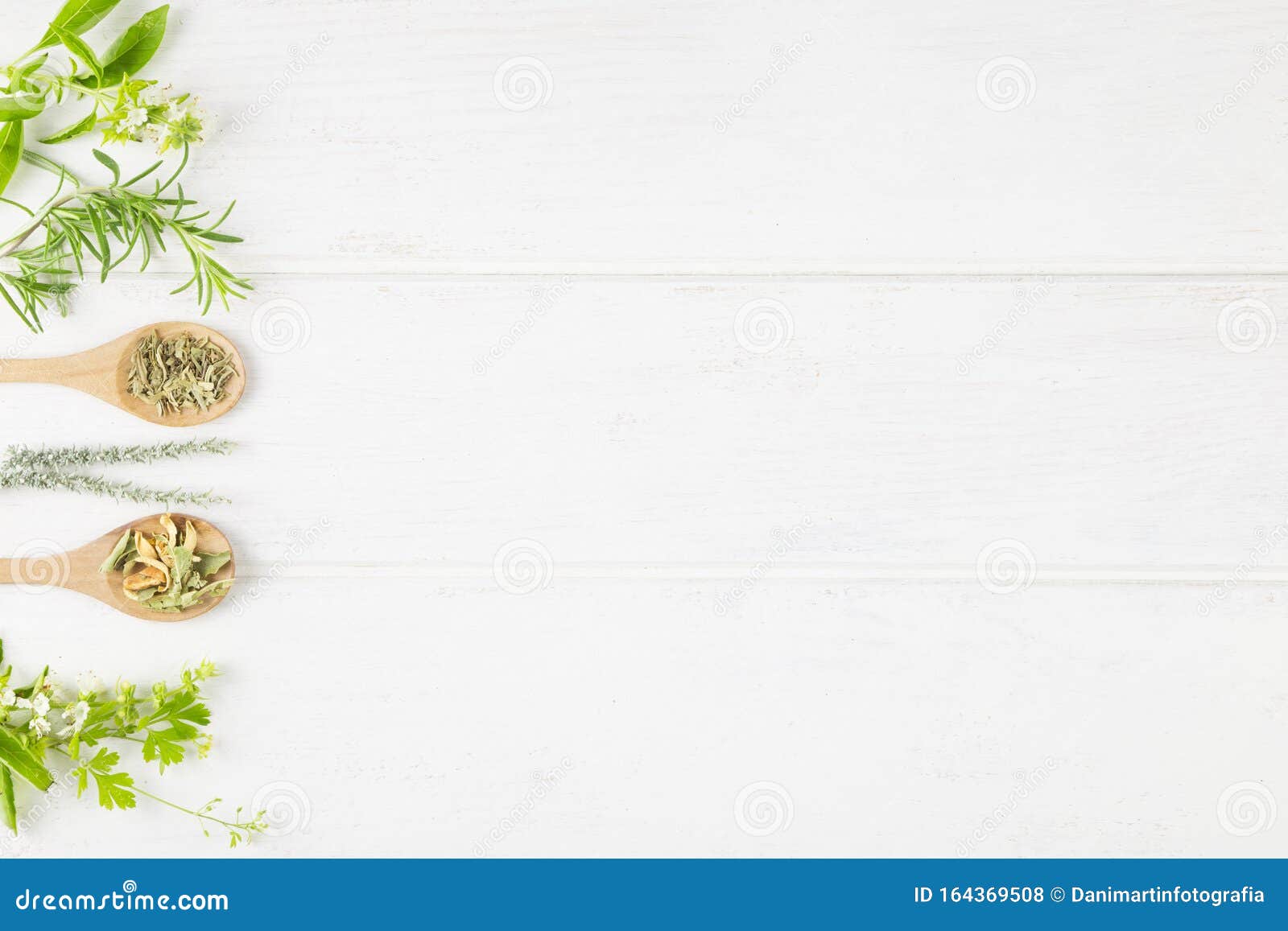Medicinal Herbs on White Background. Top View Stock Photo - Image of ...
