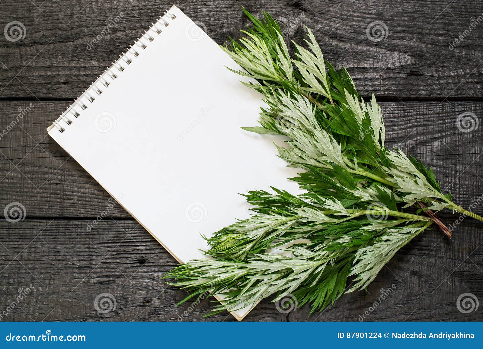 Medicinal plant wormwood Artemisia absinthium and notebook to write recipes and methods of application. Used in herbal medicine, in the preparation of food and drinks