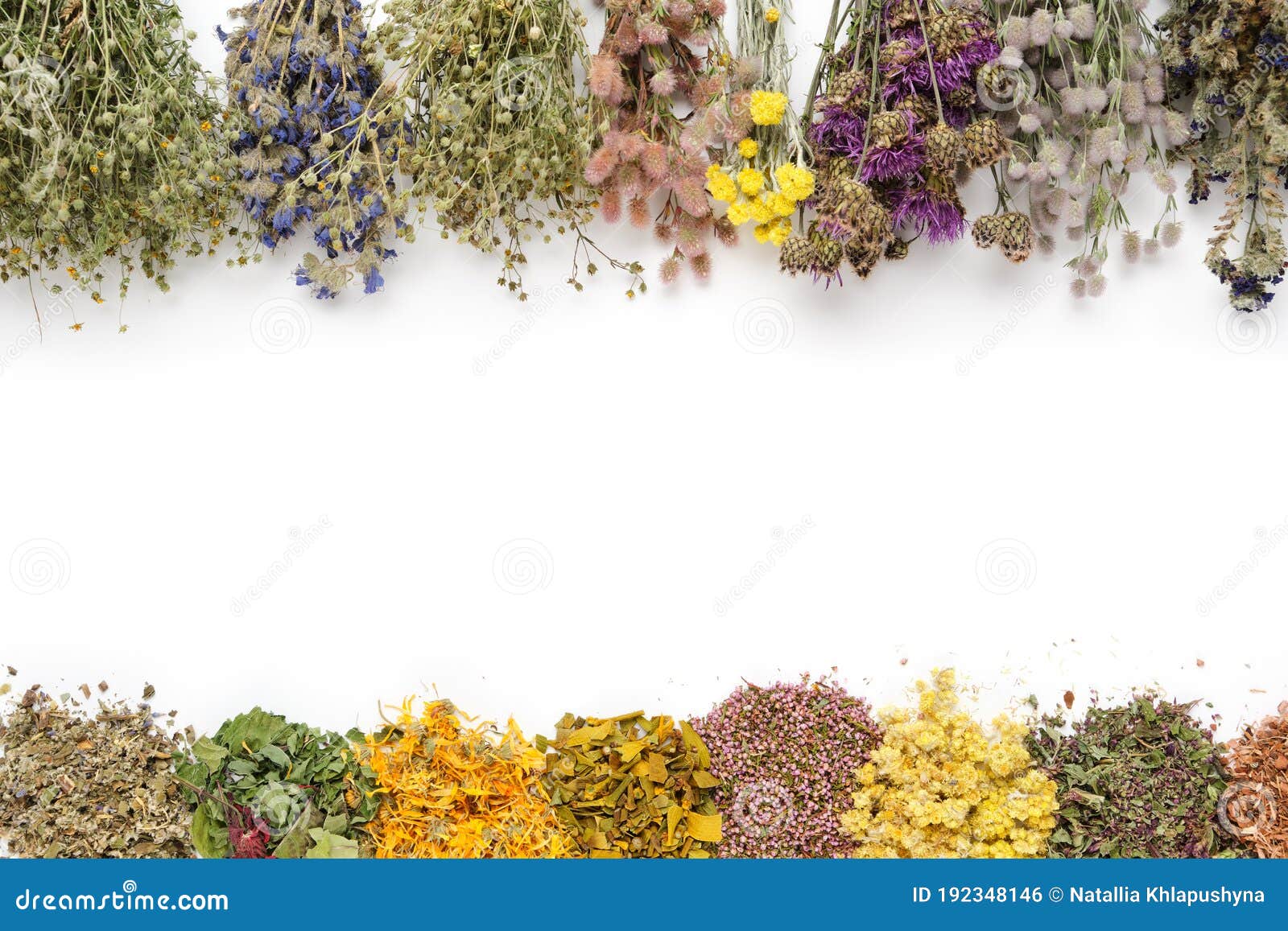 medicinal plants bunches and piles of medicinal herbs on white background. top view. alternative medicine. copy space