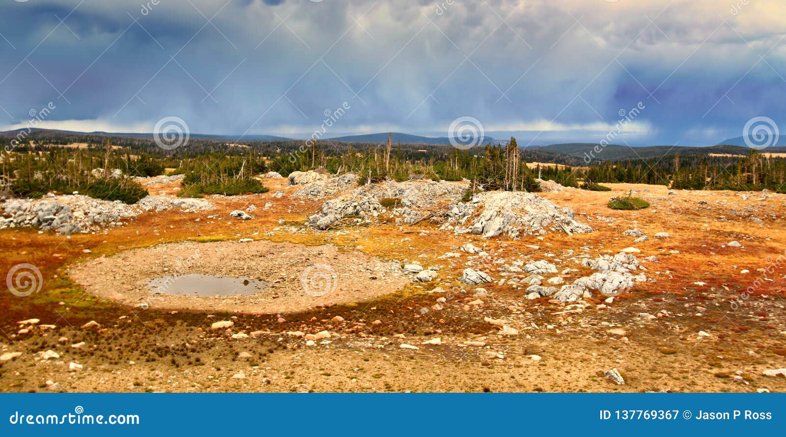 Medicine Bow National Forest Storm Clouds Stock Image - Image of ...