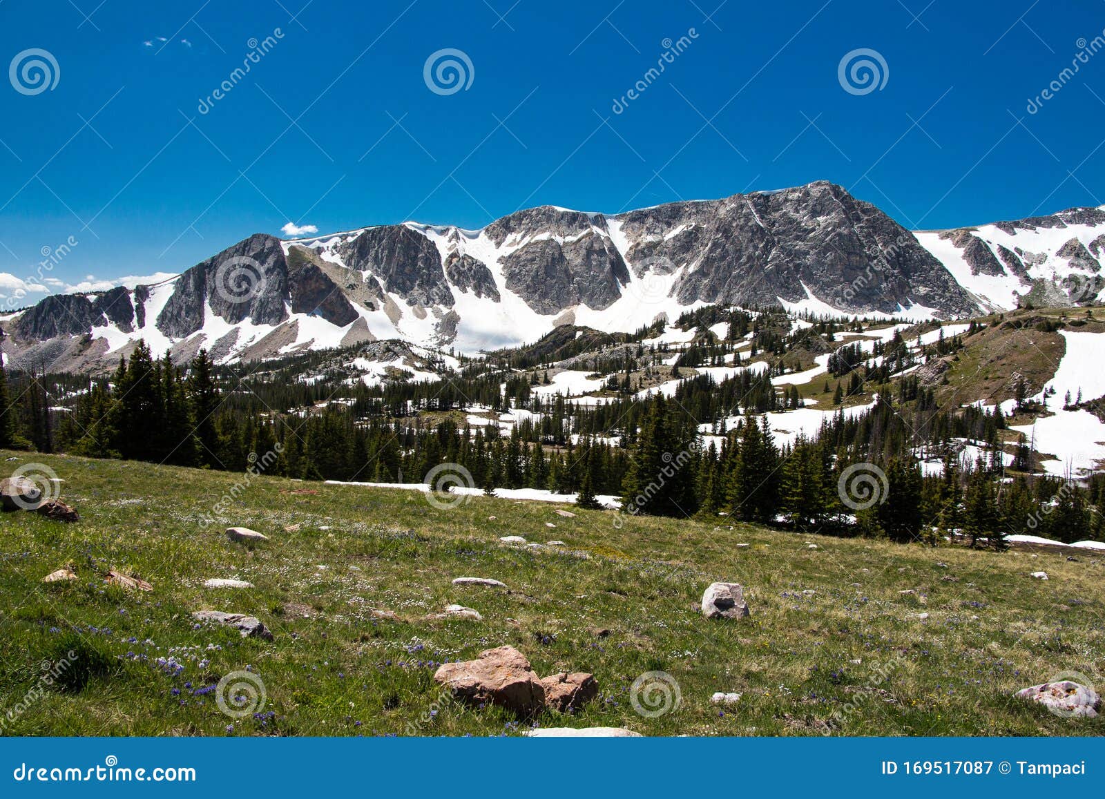 Medicine Bow National Forest Stock Image - Image of range, peaks: 169517087