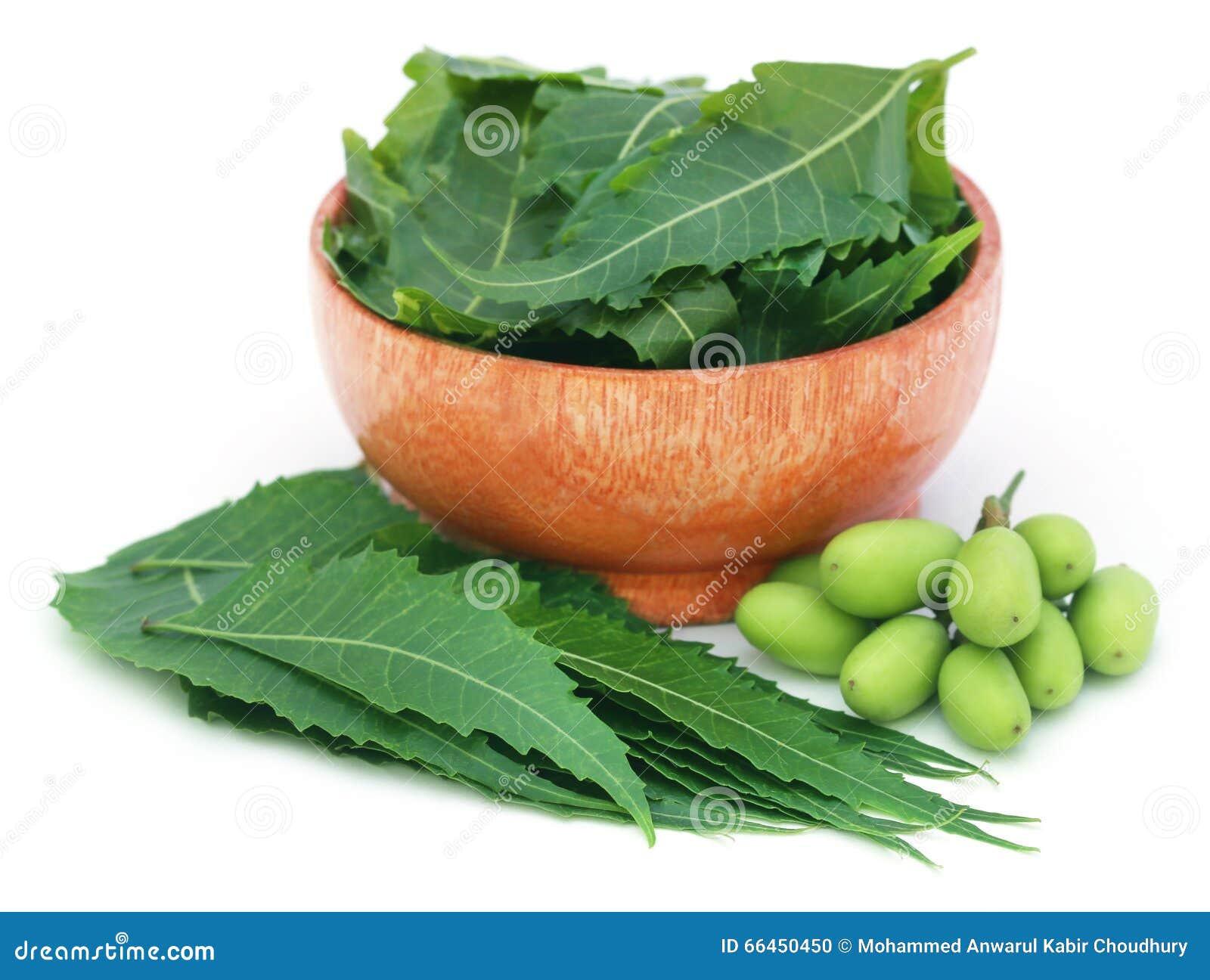 Medicinsk neem bär frukt med sidor i en bunke över vit backgrokund