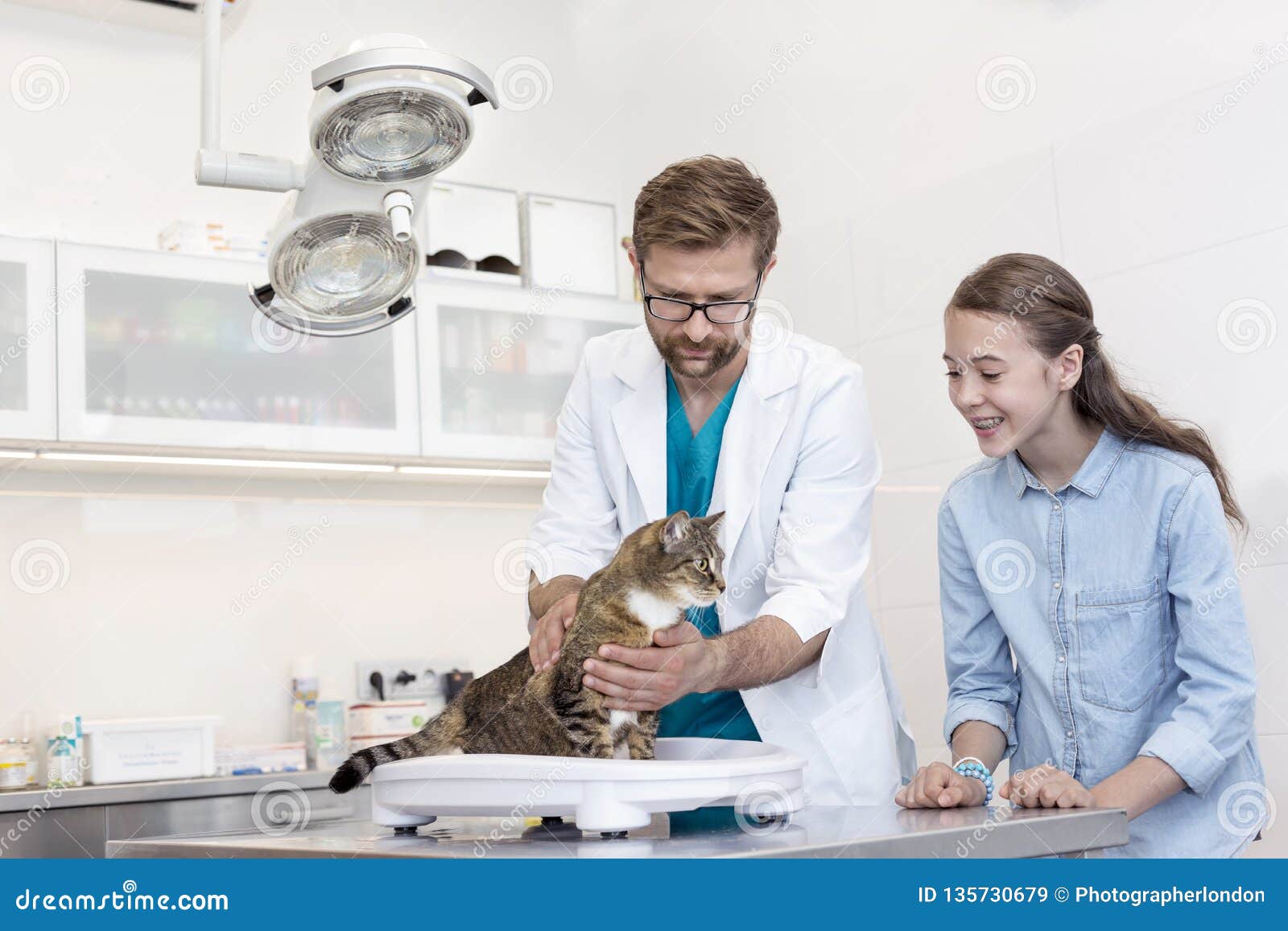 Medico facente una pausa della ragazza che controlla al gatto sulla tavola in clinica veterinaria