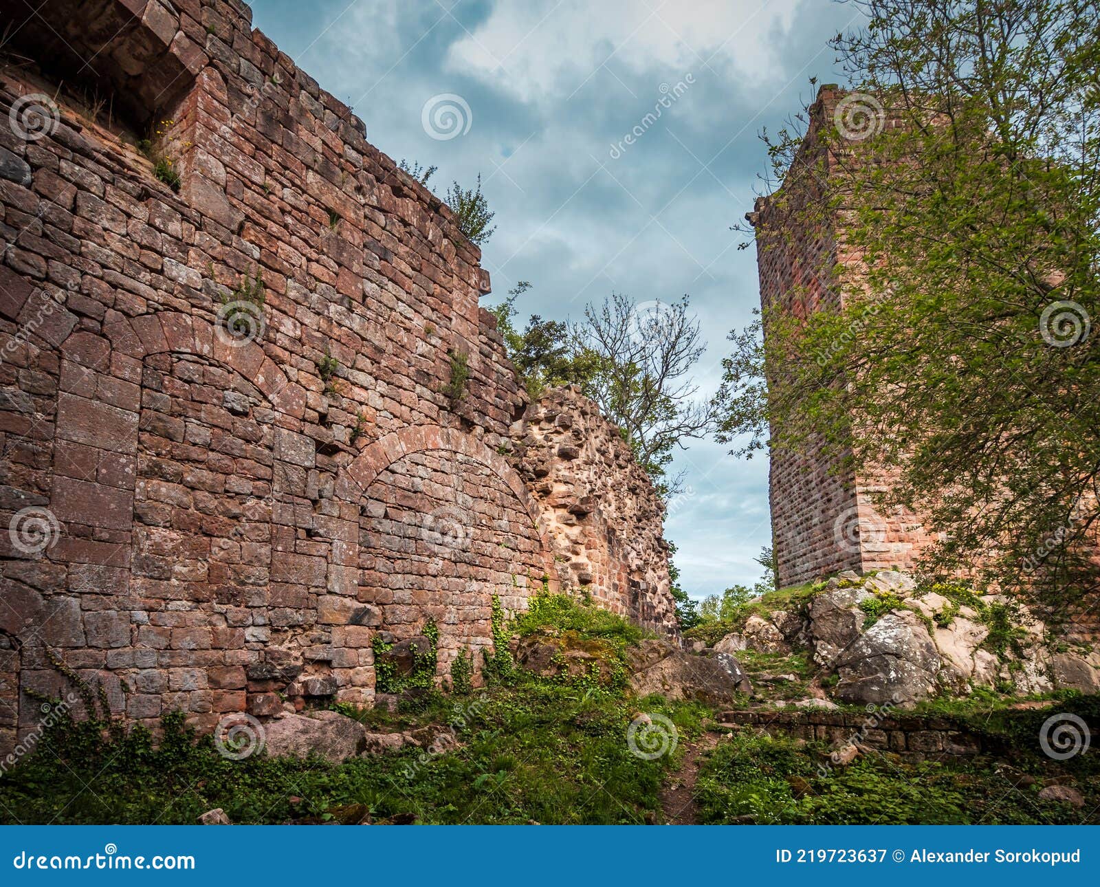 medieval castle landsberg in vosges, alsace. ancient ruins in the mountains