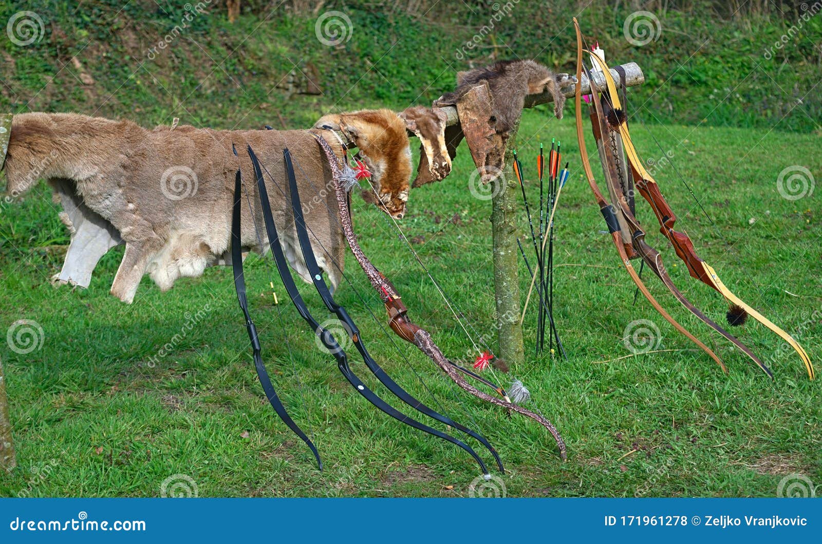 Medieval Hunters Equipment and Trophy on Display Stock Photo Image of