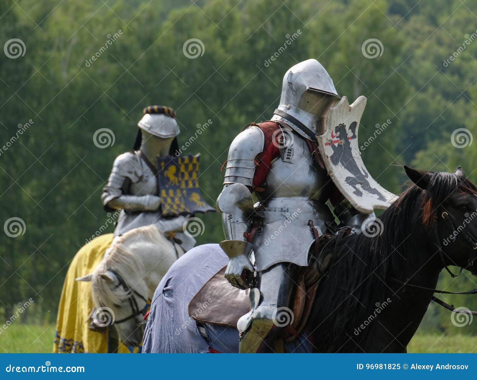 medieval knight and horse armor