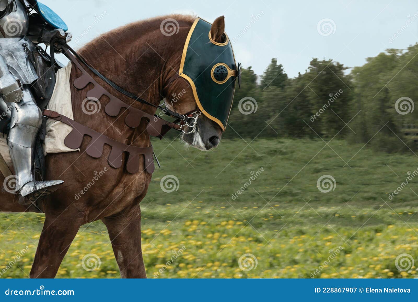 medieval knight and horse armor