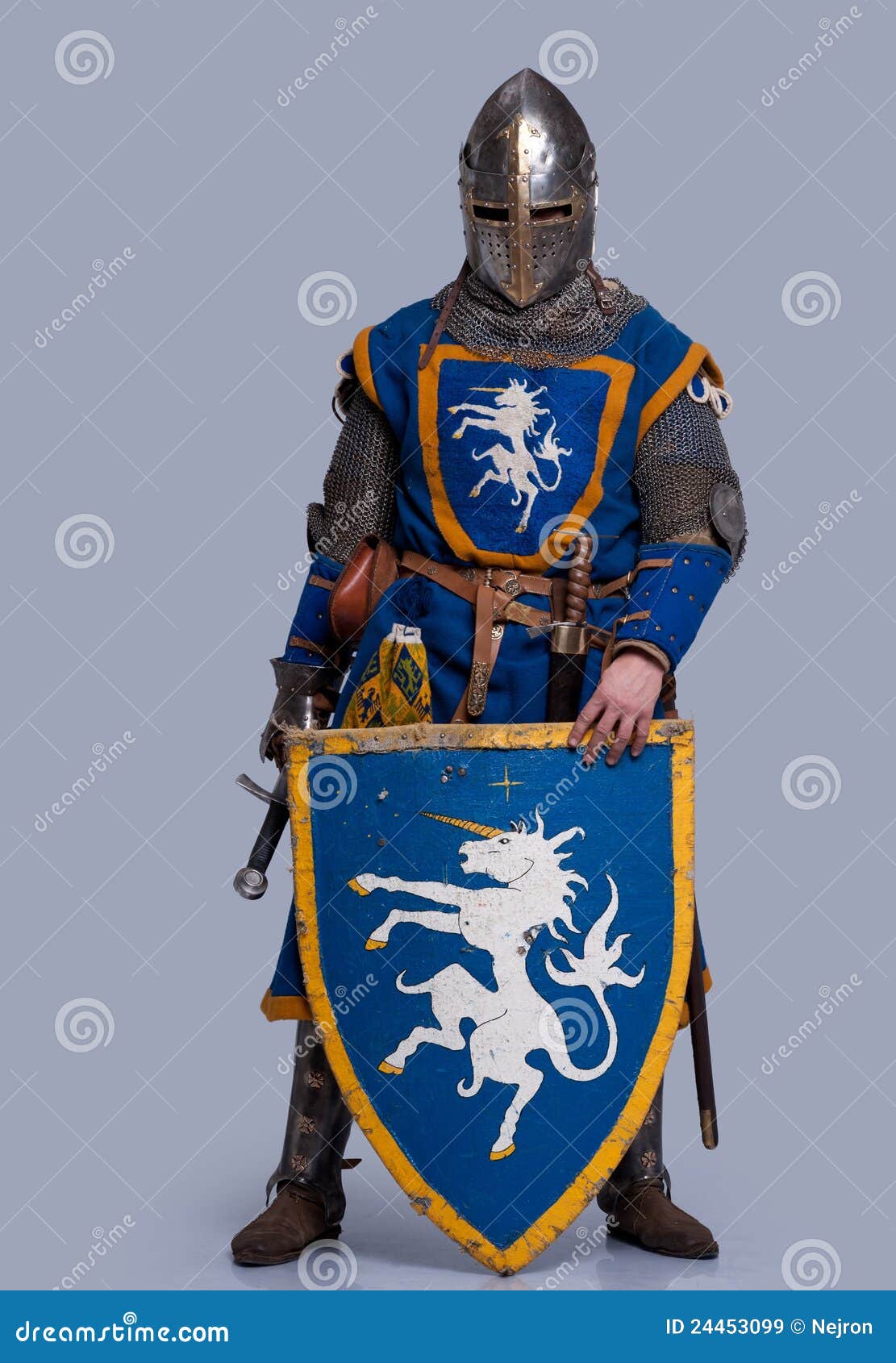medieval knight with shield in front of him