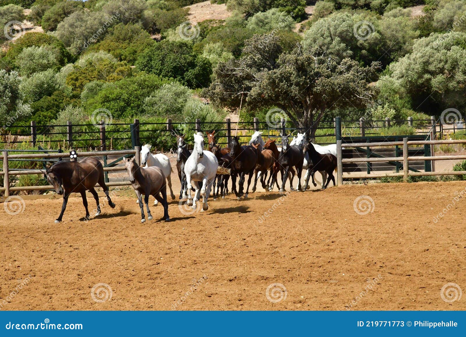 medina sidonia; spain - august 28 2019 : acampo abierto