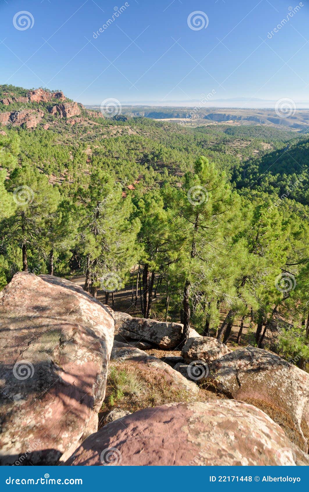 mediterranean forest at albarracin range, spain