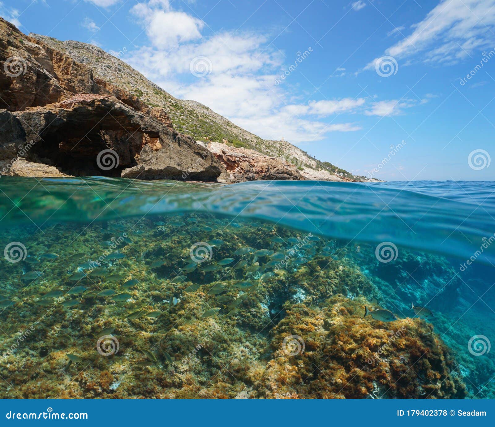 Mediterranean sea split view seagrass underwater Stock Photo by