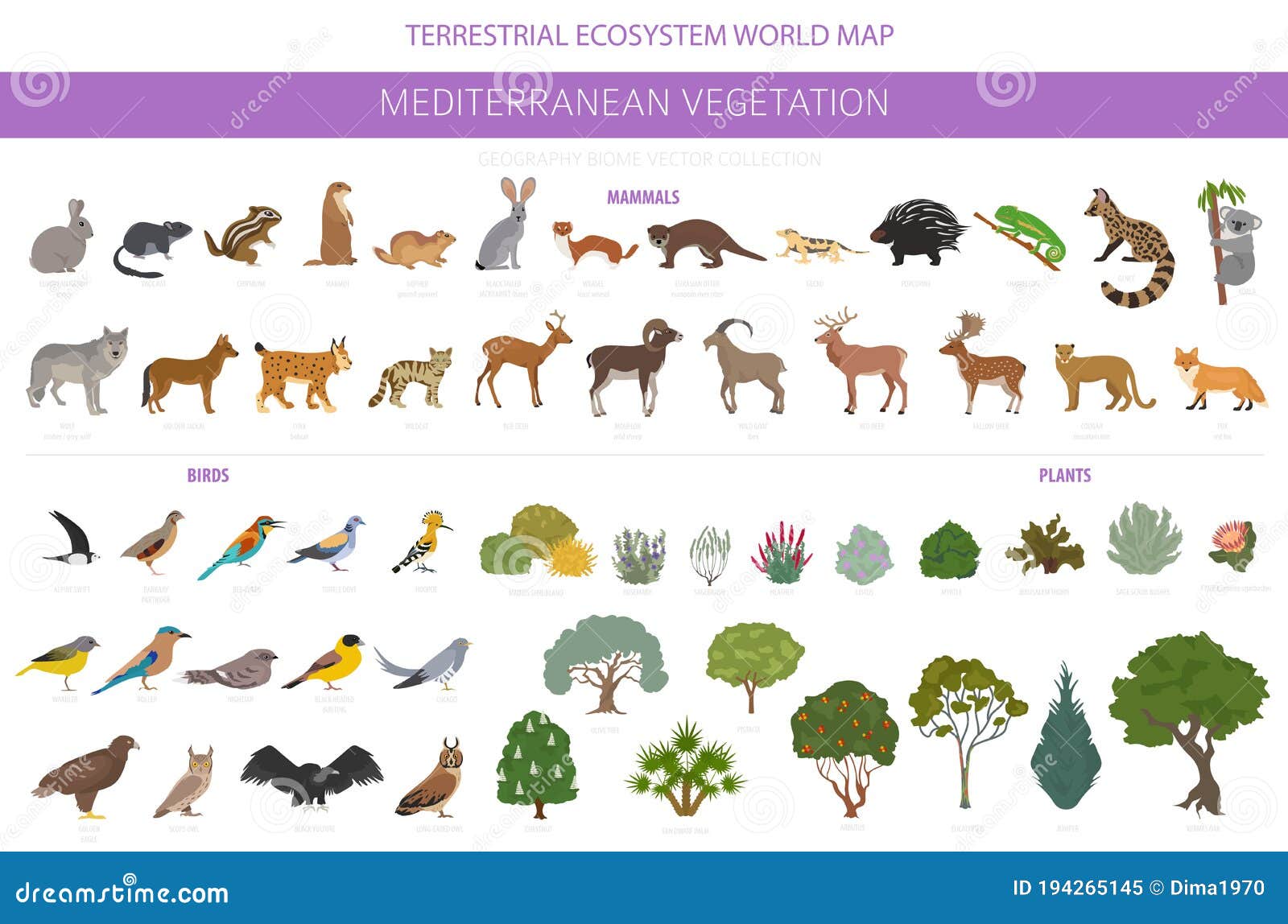 Rabbit Terrestrial Animal Stock Illustrations – 39 Rabbit Terrestrial Animal Stock Illustrations, Vectors & Clipart - Dreamstime Rabbit Terrestrial Animal Stock Illustrations – 39 Rabbit Terrestrial Animal Stock Illustrations, Vectors & Clipart - Dreamstime