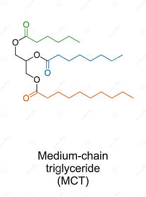Triglyceride Cartoons Illustrations Vector Stock Images 548 